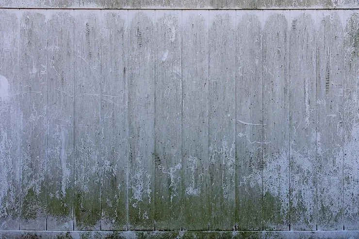 How to Find Out If You Have Mold Behind Your Walls