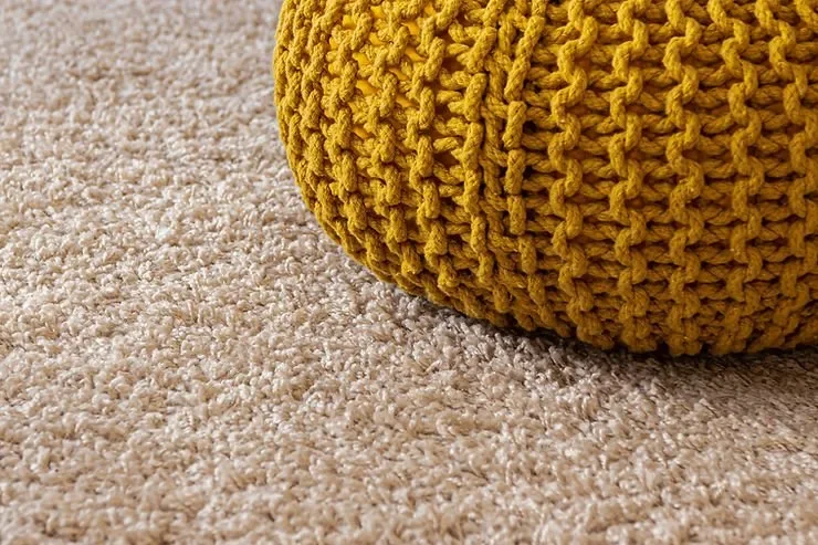 How to Remove Mold from Carpeting