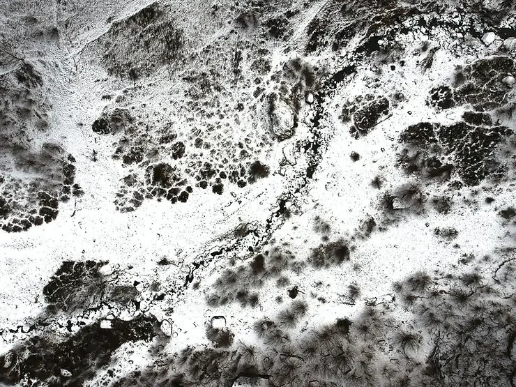 What is “Mold Load?”