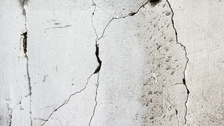 Mold Disclosure Laws for Landlords in California