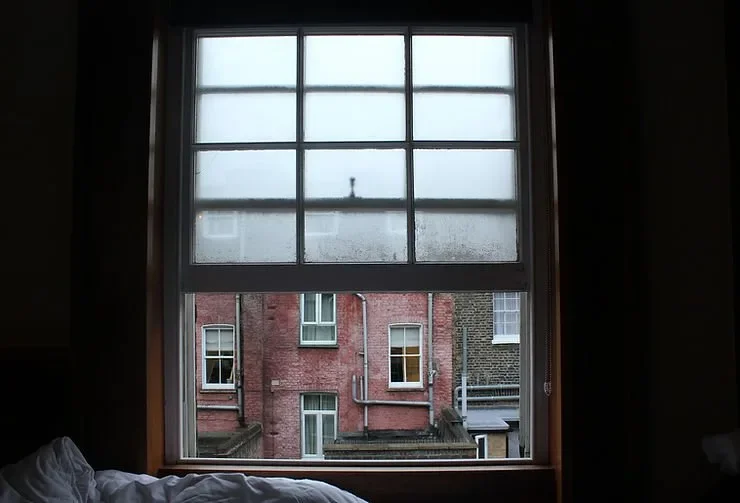 How Does Temperature Affect Mold Growth?