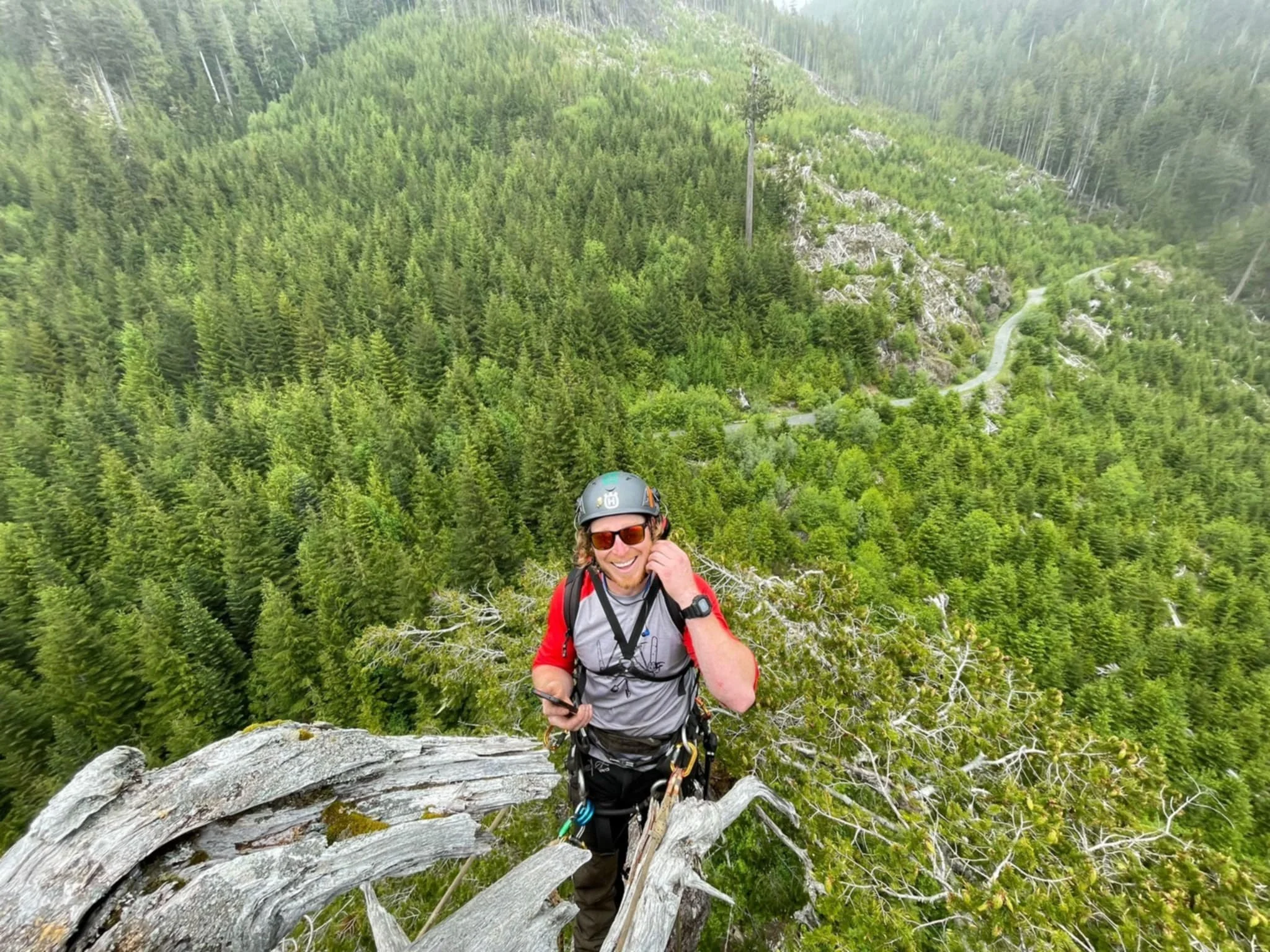 A man wearing a helmet, sunglasses, and outdoor gear stands on a tree branch high in a forested mountain area, smiling and talking on a phone with a lush green mountain landscape in the background.