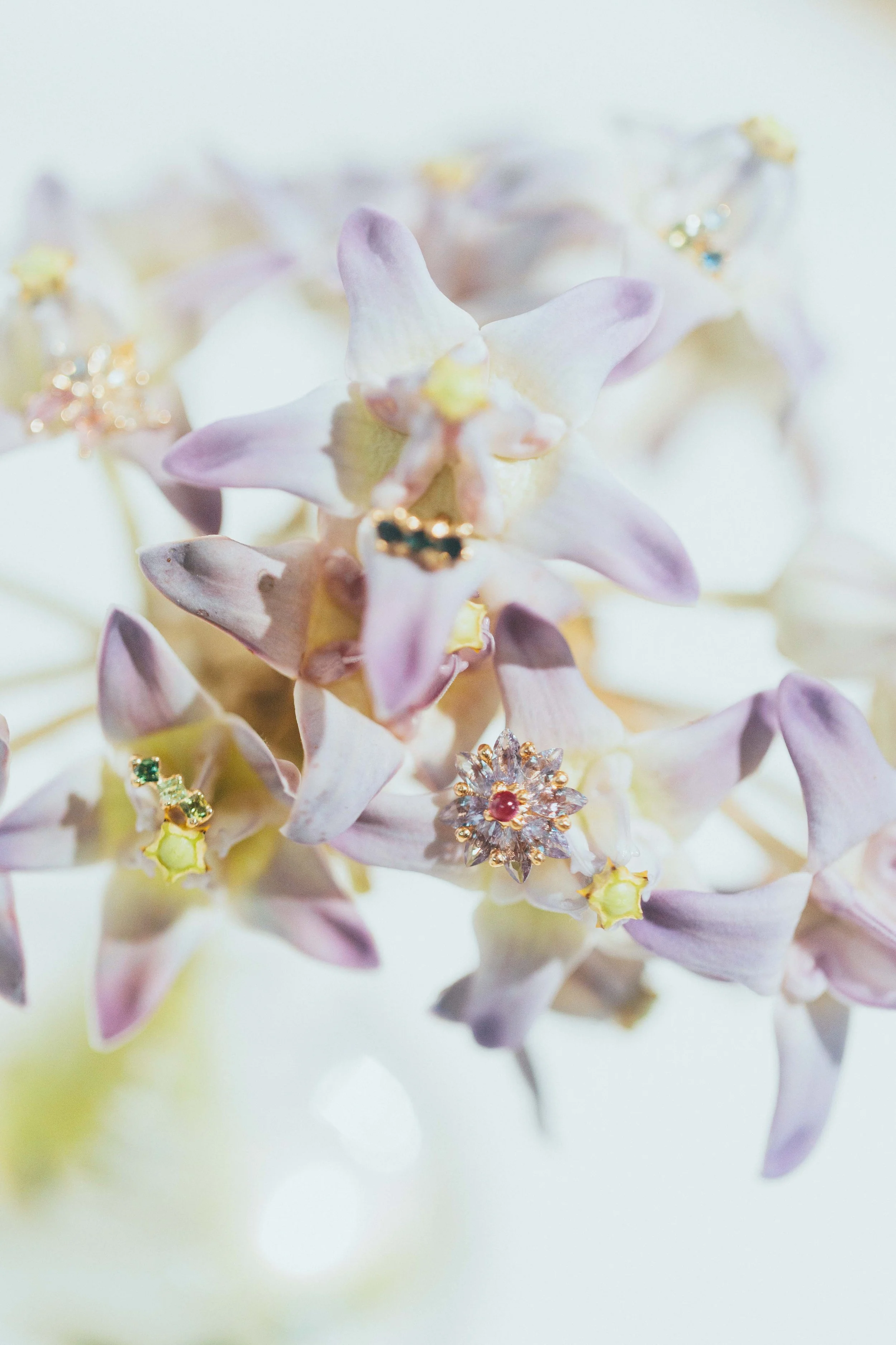 Close-up of a cluster of star-shaped flowers with jewelry, including rings and earrings, placed on and around the flowers.