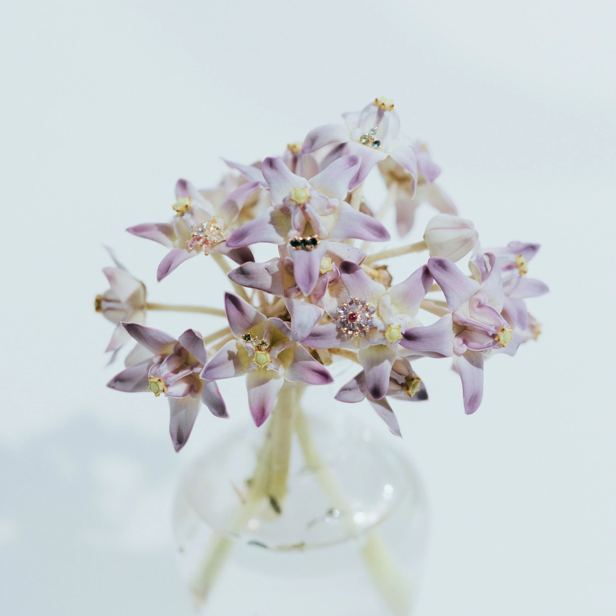 A cluster of lilac-colored star-shaped flowers in a small glass vase, decorated with various jewelry pieces including 14kt yellow gold stud earrings with sapphries.