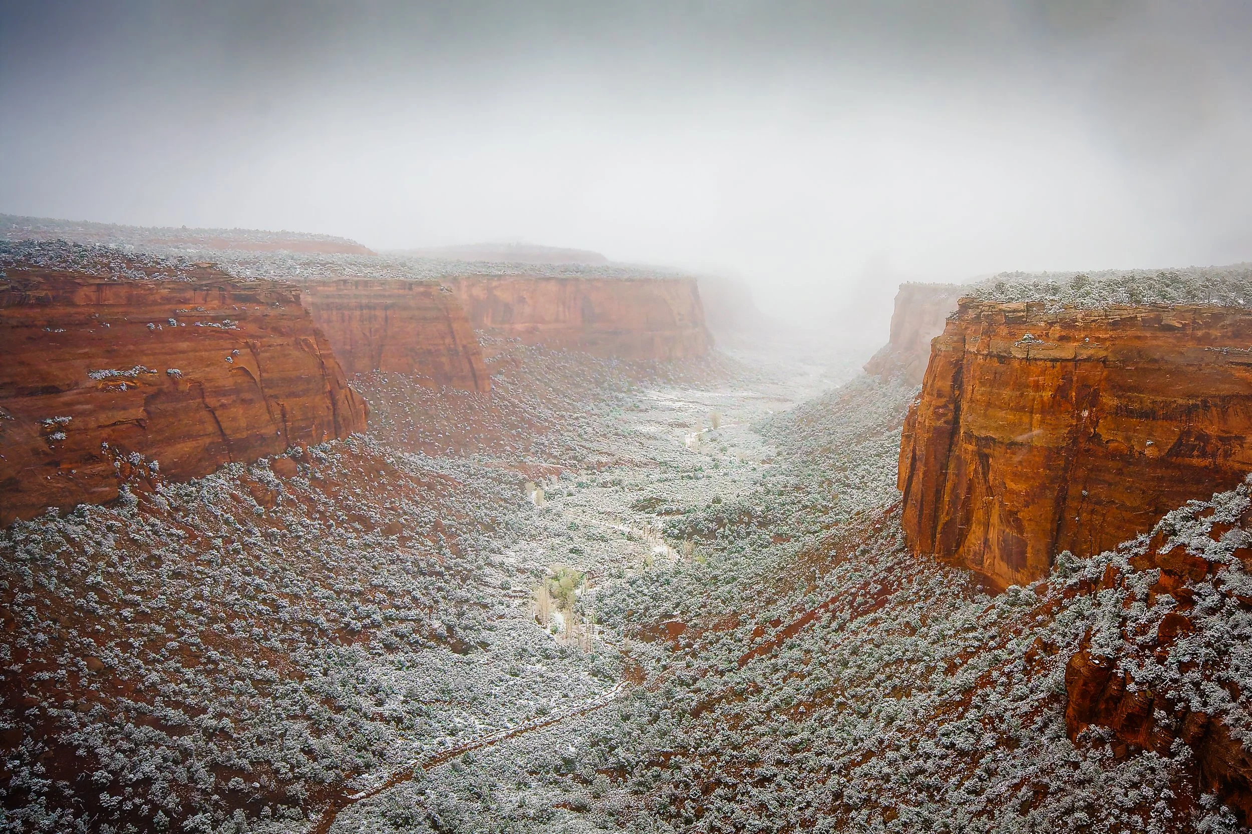 Red canyon walls with snow-covered vegetation and a foggy sky.