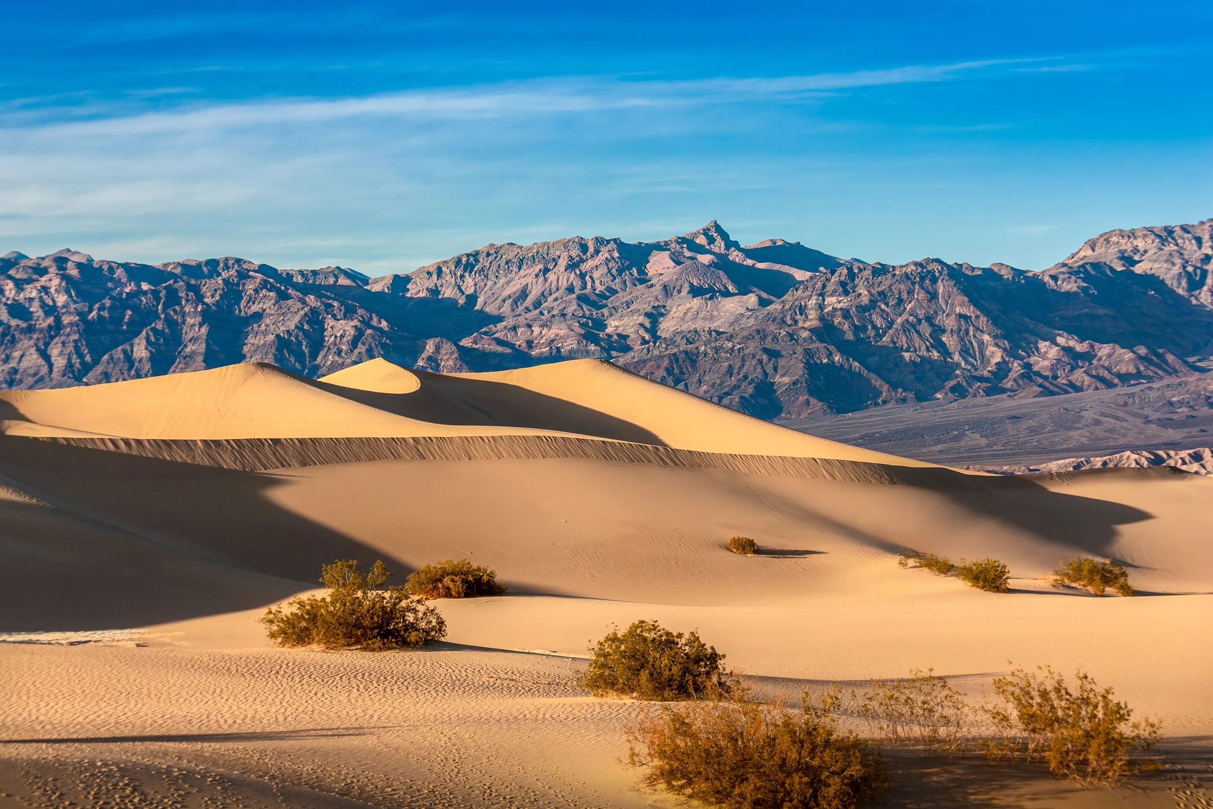 Photo of sand dunes in a desert with small bushes, with mountains in the background and a blue sky with some clouds.