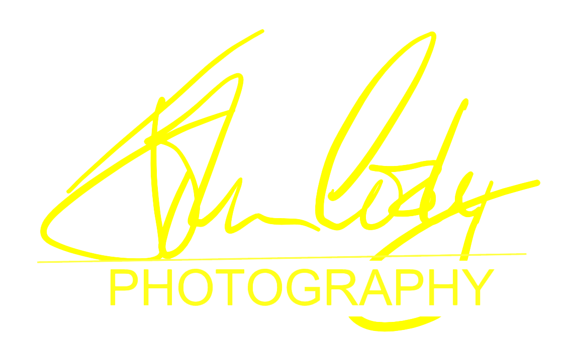 Yellow neon-style signature on a black background.