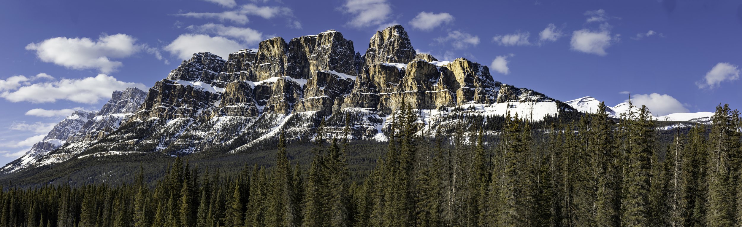 Snow-capped mountain peak with a forest of pine trees in foreground under a partly cloudy blue sky.