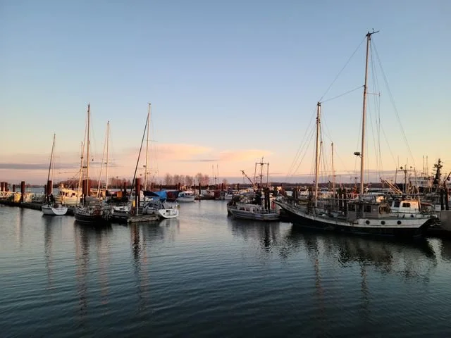A harbor with a bunch of ships