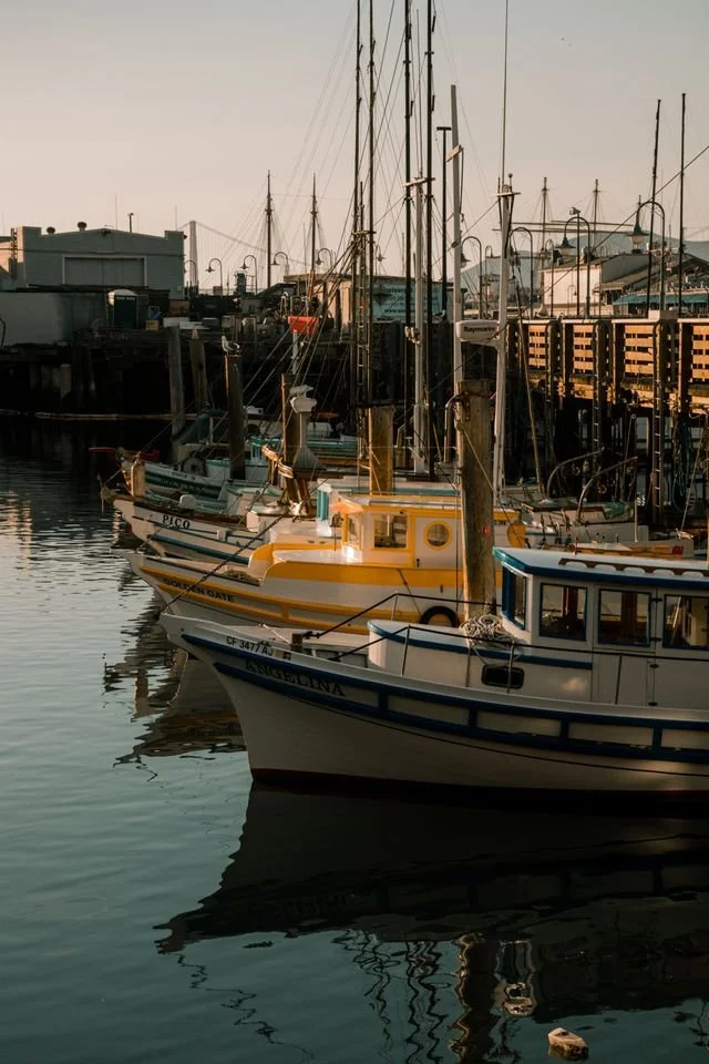 a harbor with many smaller boats