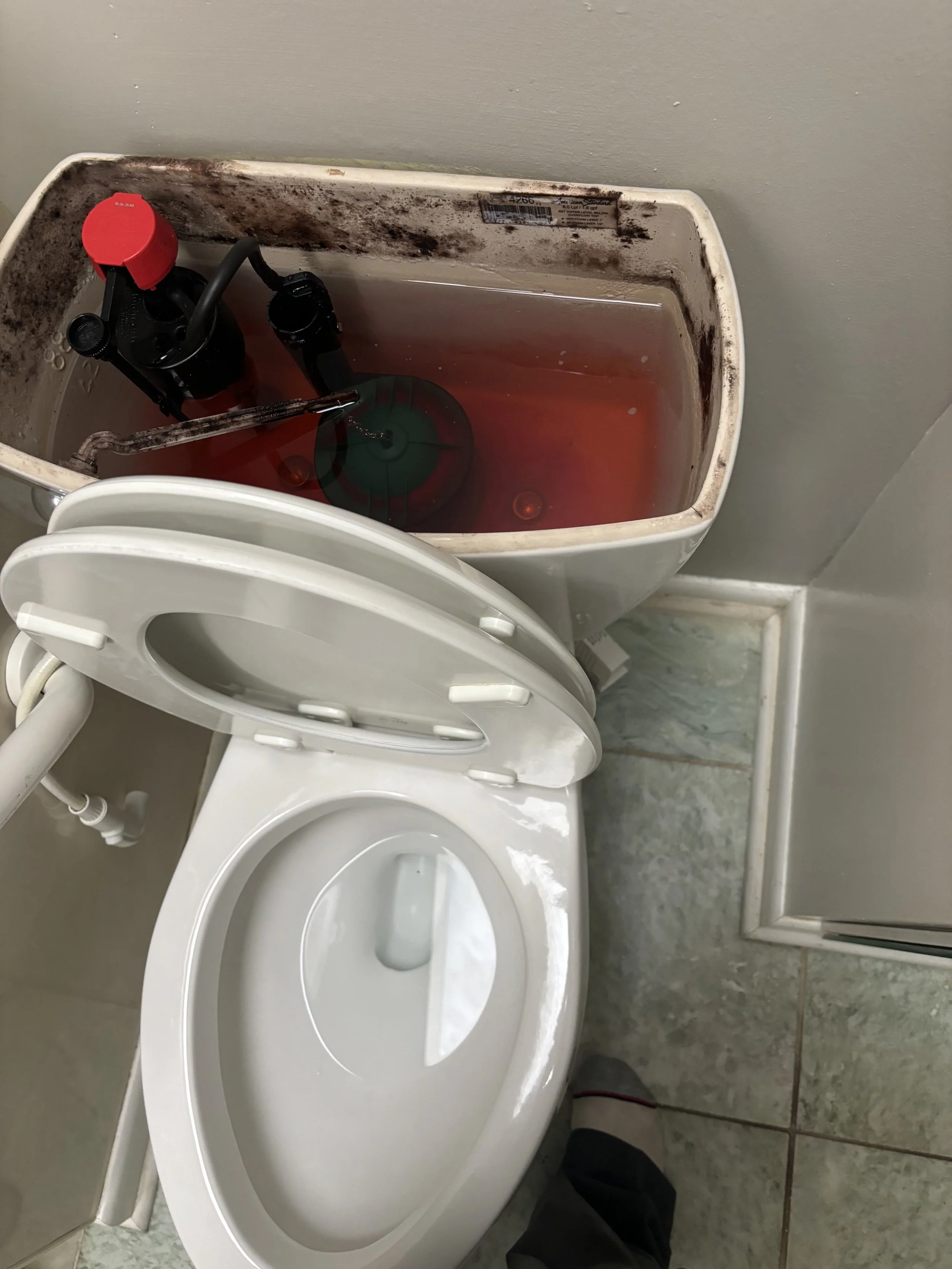 Toilet with an open lid and water inside, containing a black and green device, in a bathroom with a mop and dirt around the tank.