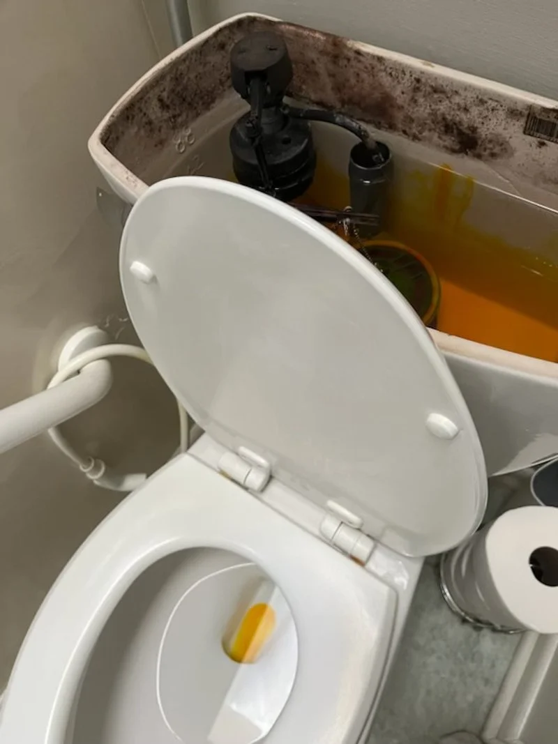 Toilet with an open lid, filled with dirty, rusty water and a black mechanical device submerged inside, with a rusty tank behind it.