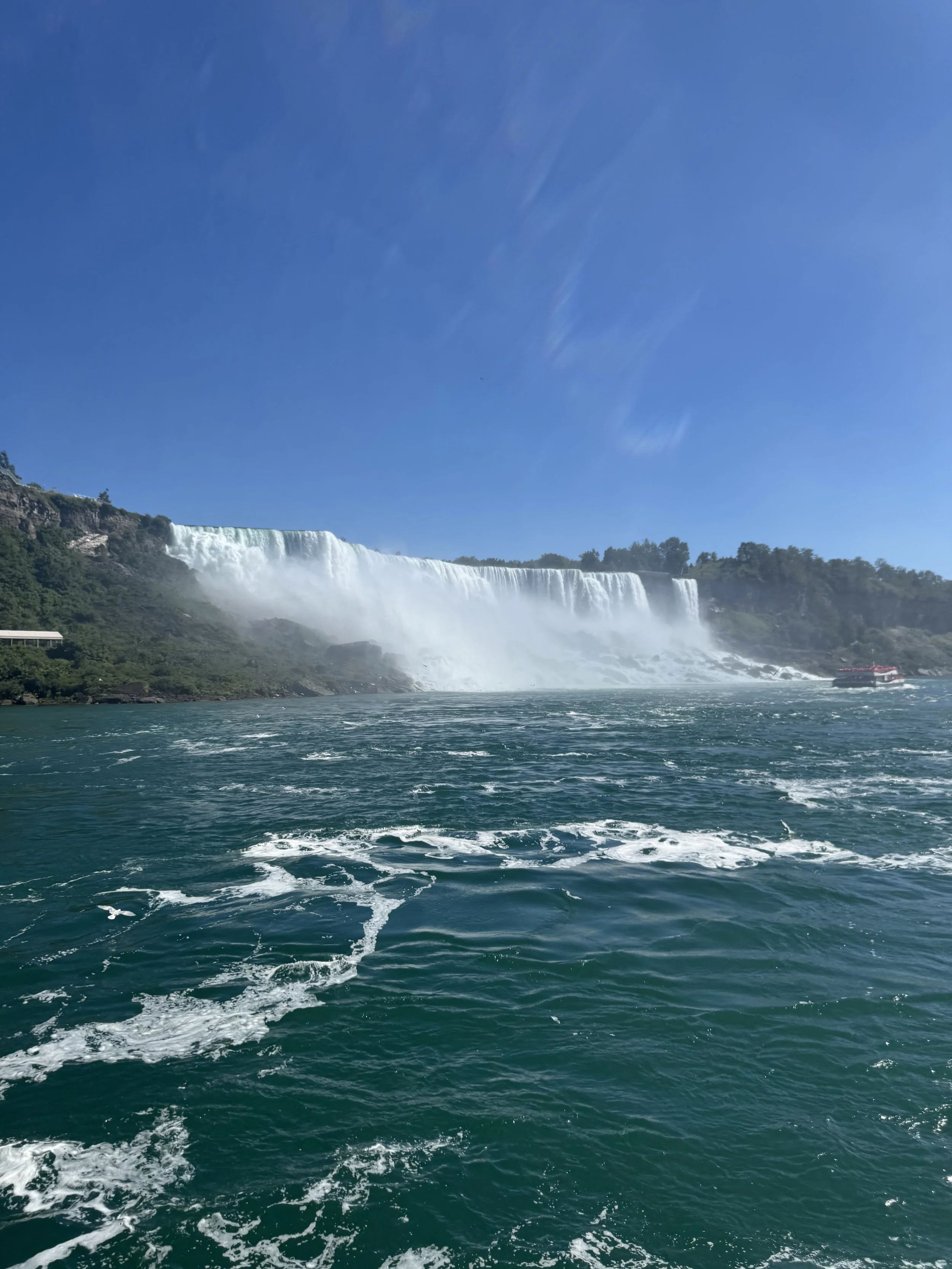 IMG_5387.jpeg