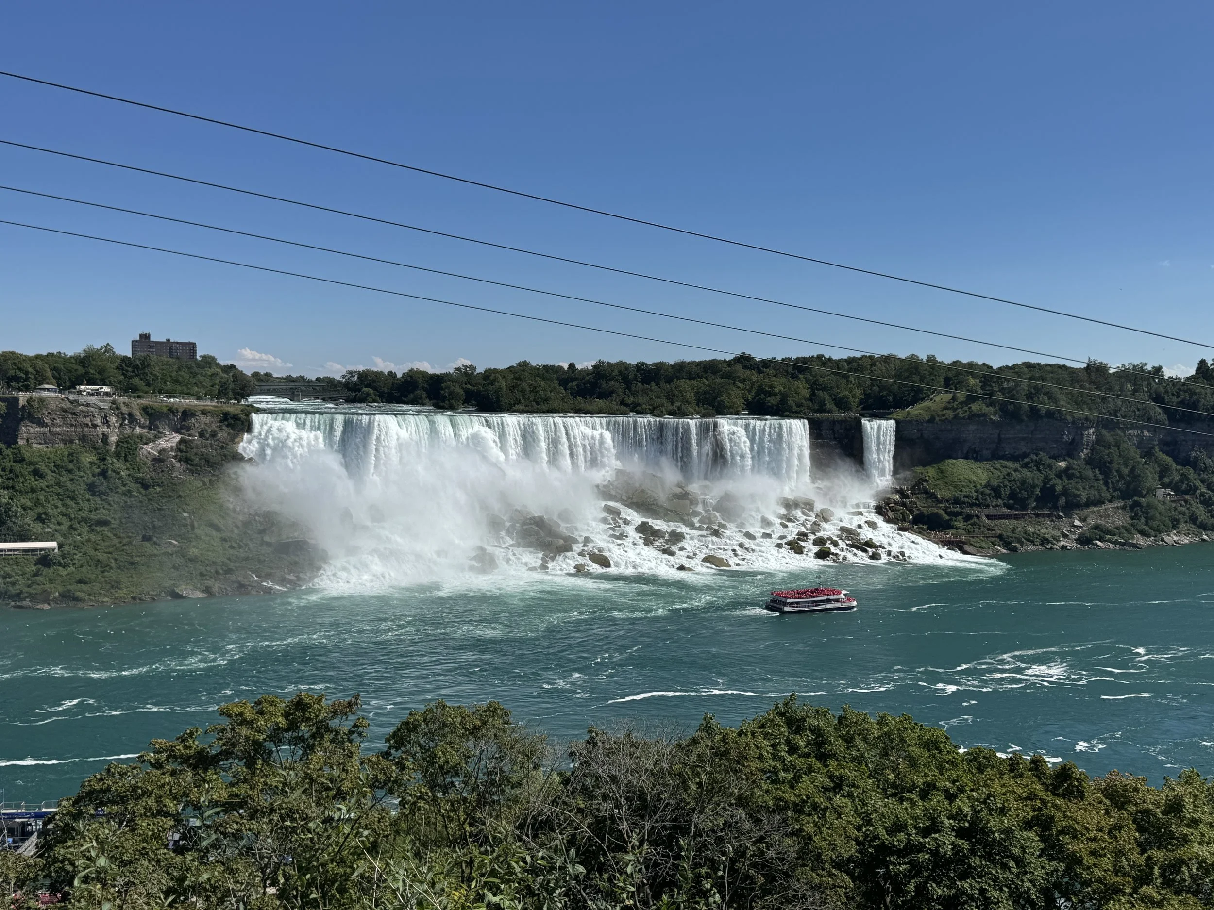 IMG_5295.jpeg