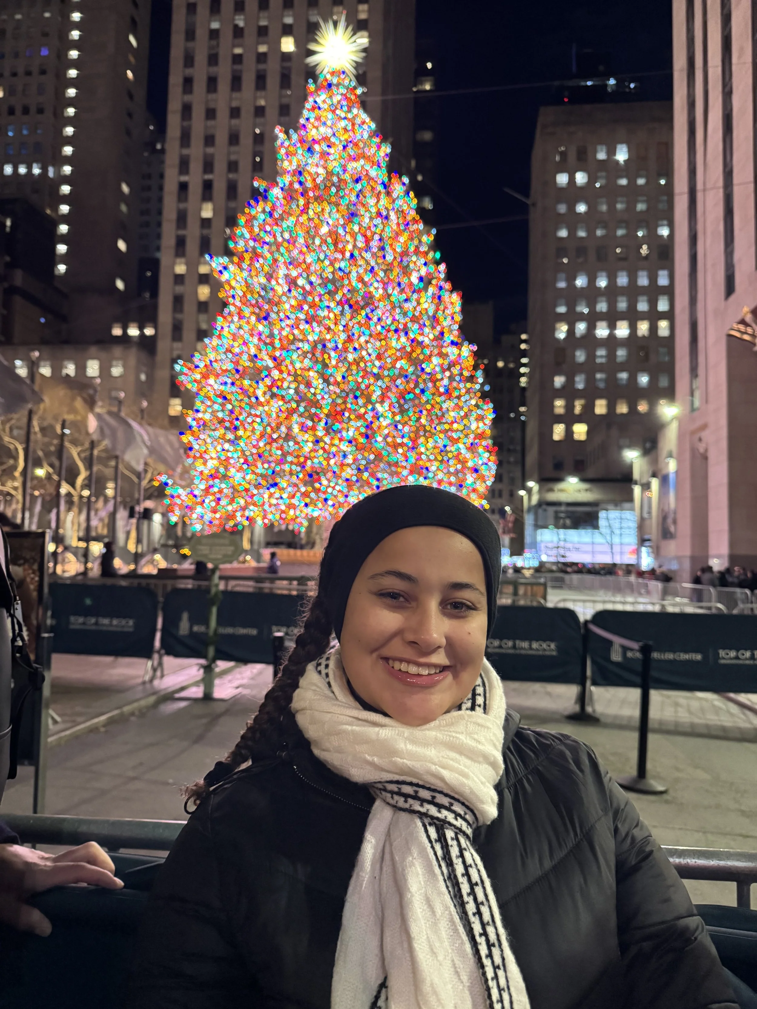 Christmas In New York