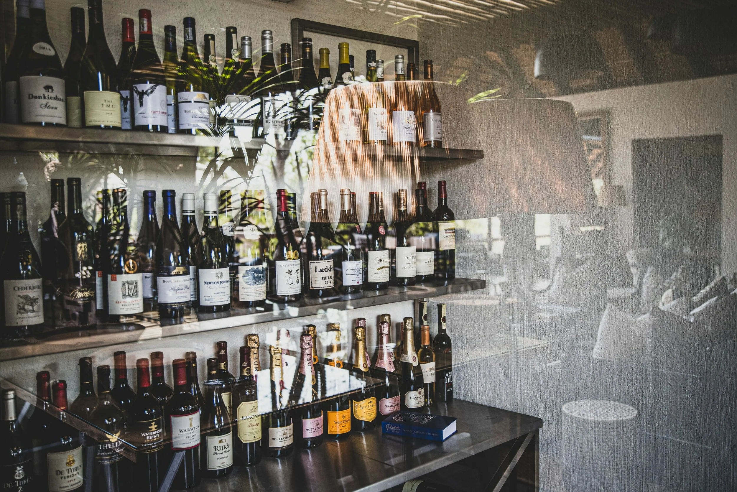 cellarlon.jpg