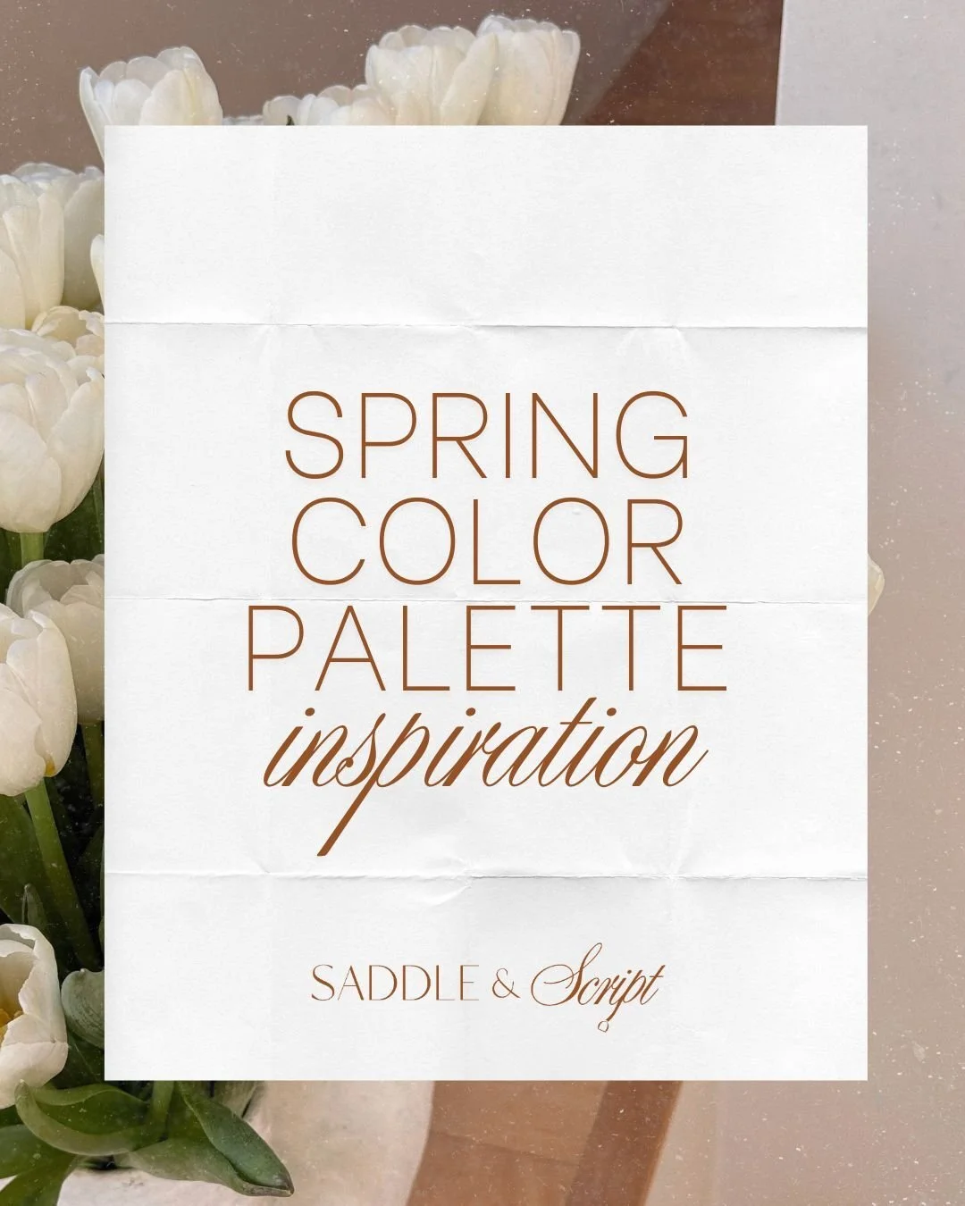 Steal our spring brand color palette inspiration, Part 2 ✨🌸

This week&rsquo;s selection is a curated mix of soft and bold, featuring:
&bull; Garden Parlour
&bull; Countryside Sunset
&bull; Studio Wardrobe
&bull; Vineyard Table

Each palette is root