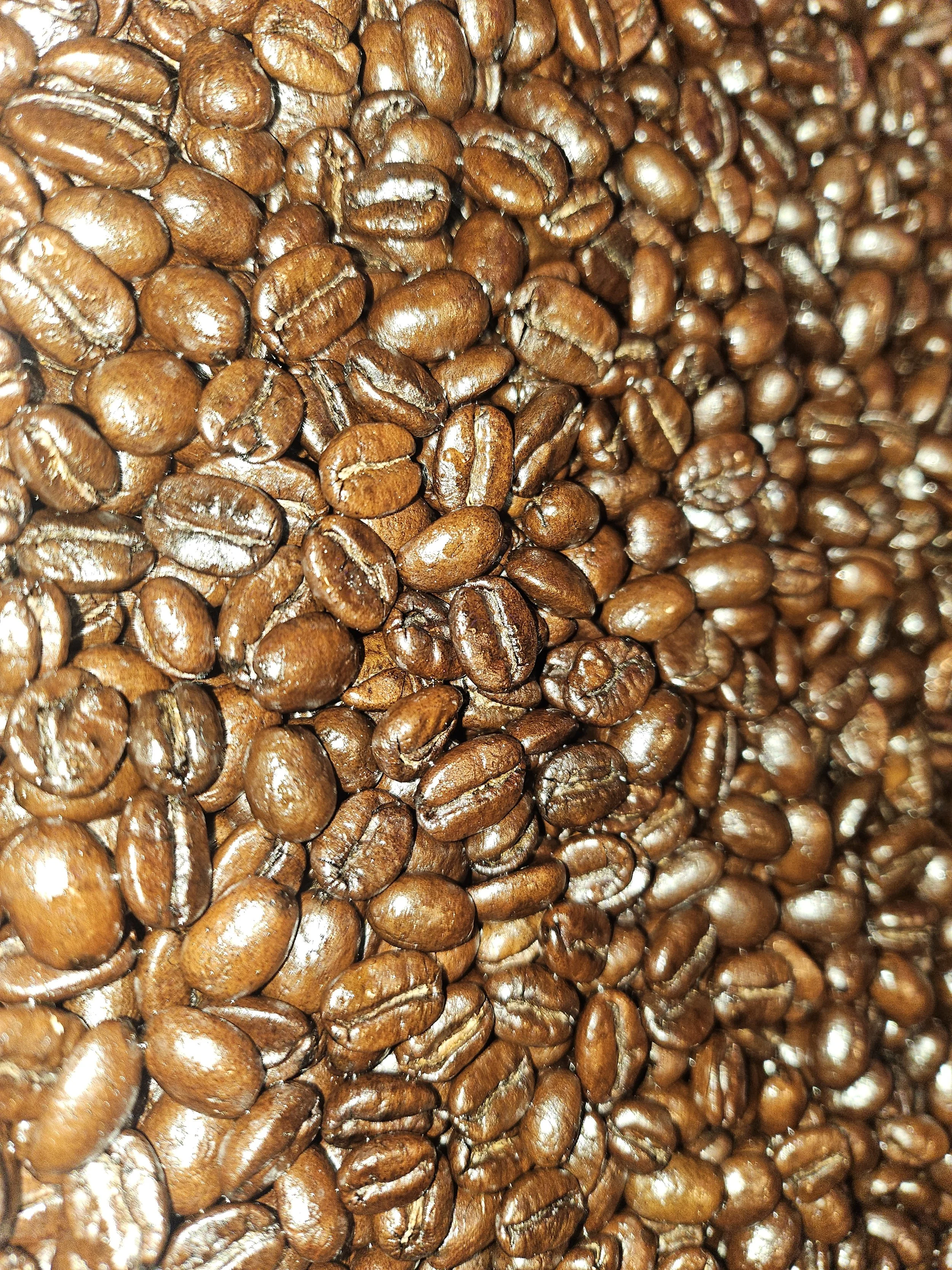 The Great Blend (Medium-Gold)