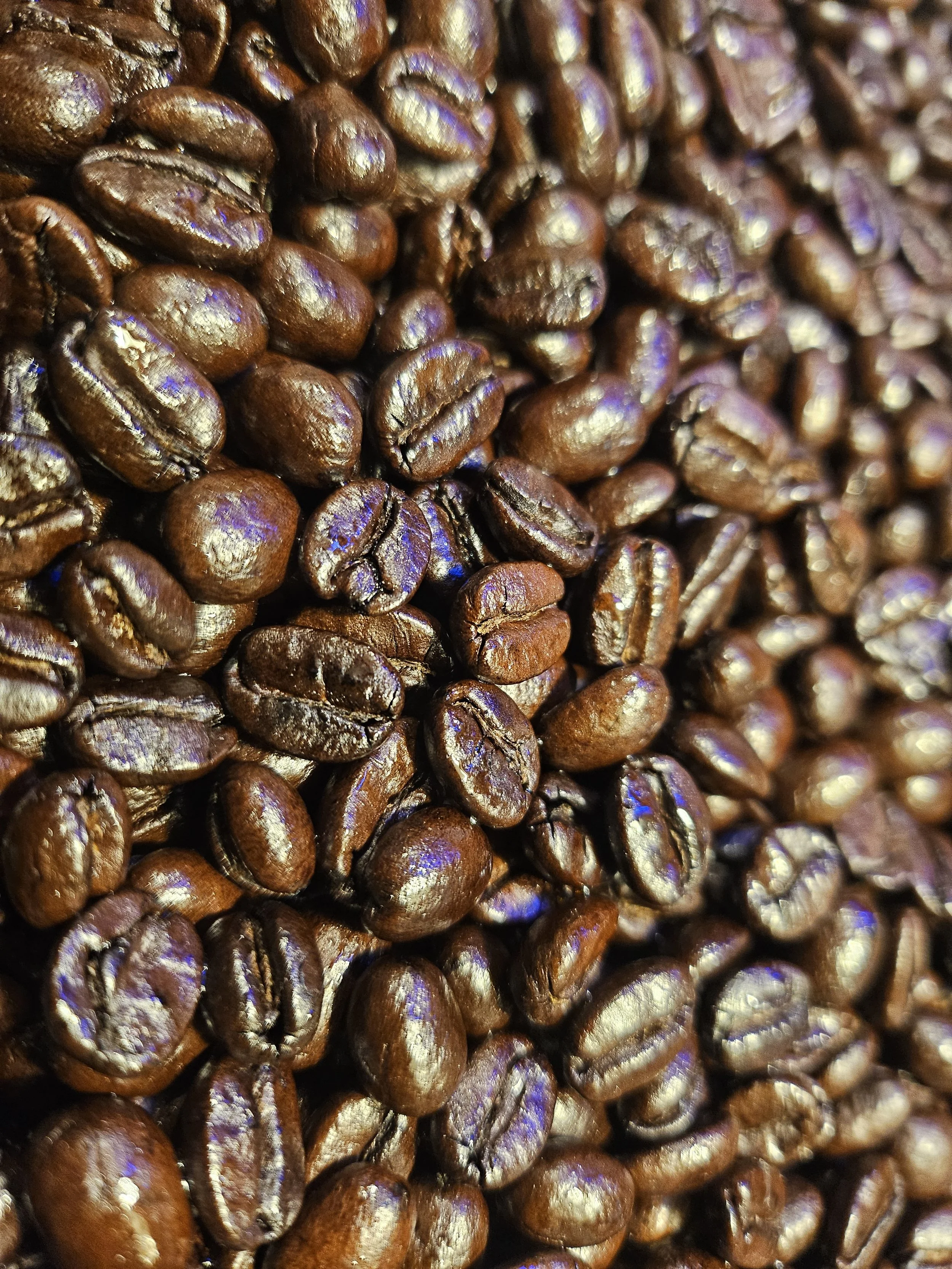 The Great Blend (Dark)