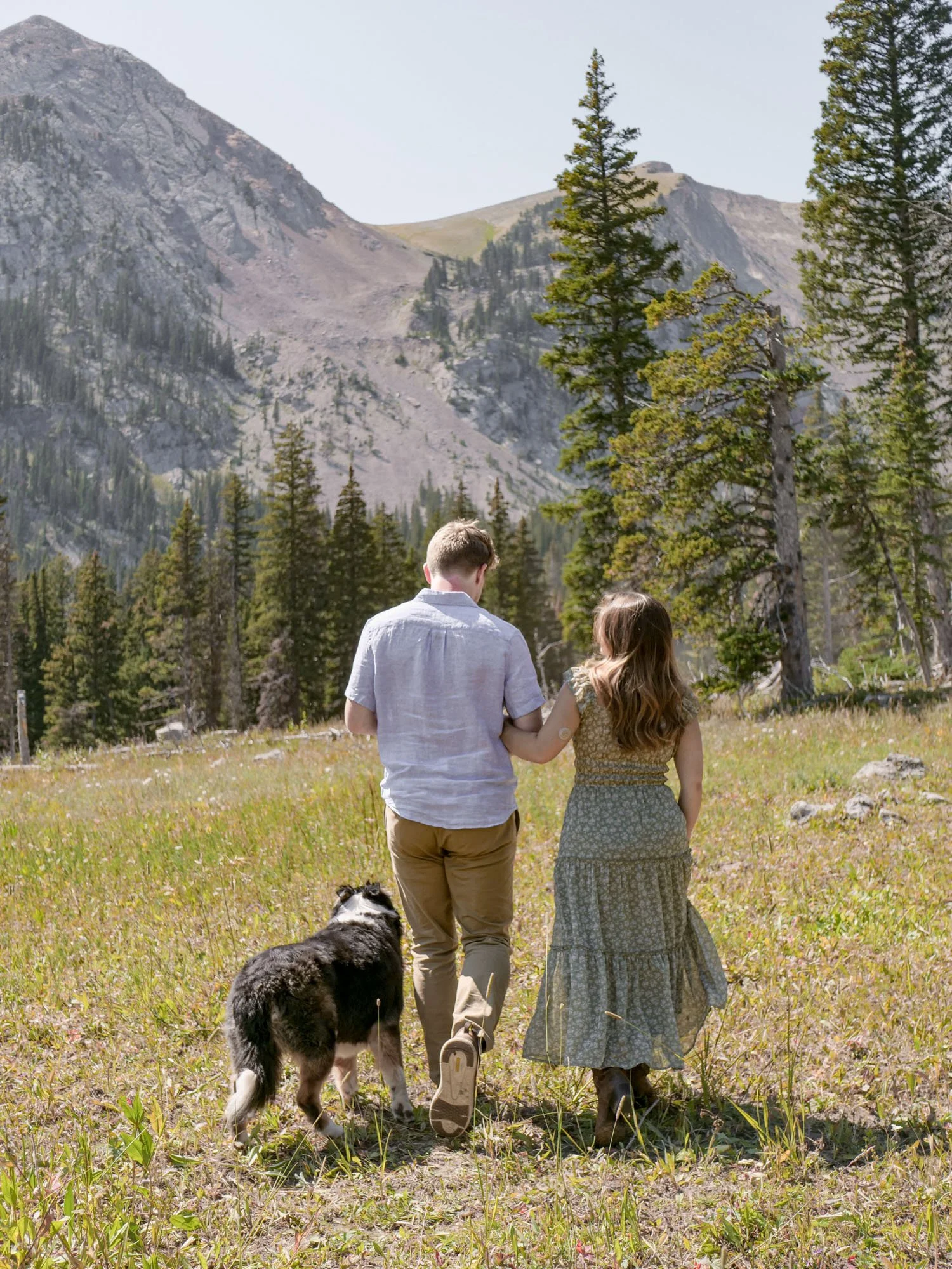 A couple walks through a grassy field with their dog in a mountainous forested area during daytime.