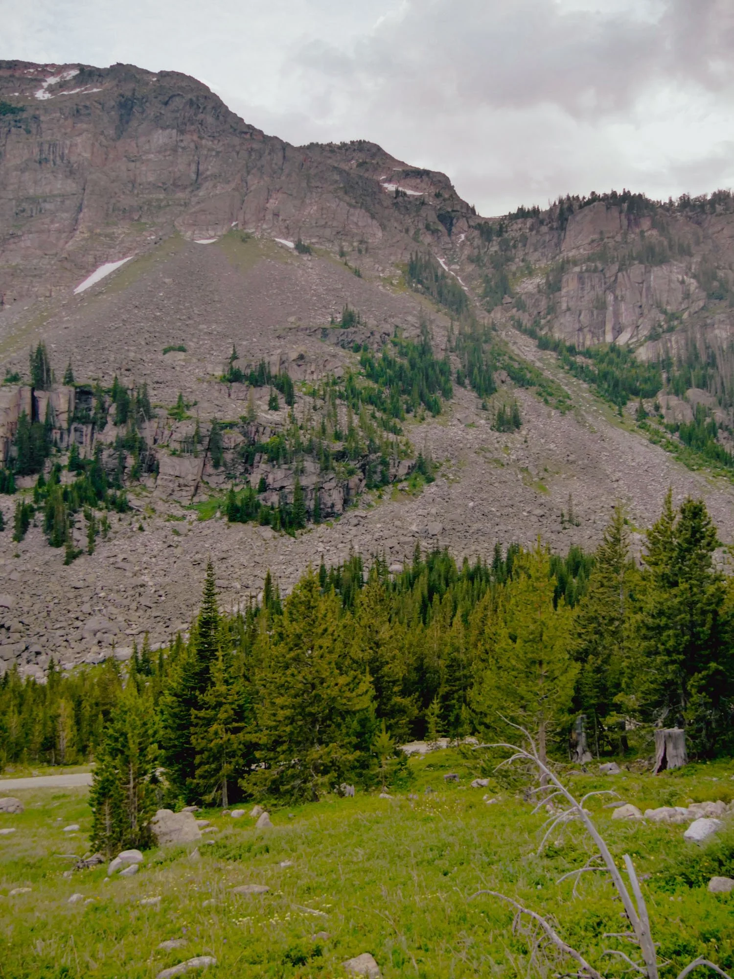 A mountainous landscape with lush green trees in the foreground, rocky slopes in the middle, and mountain peaks in the background under a cloudy sky.
