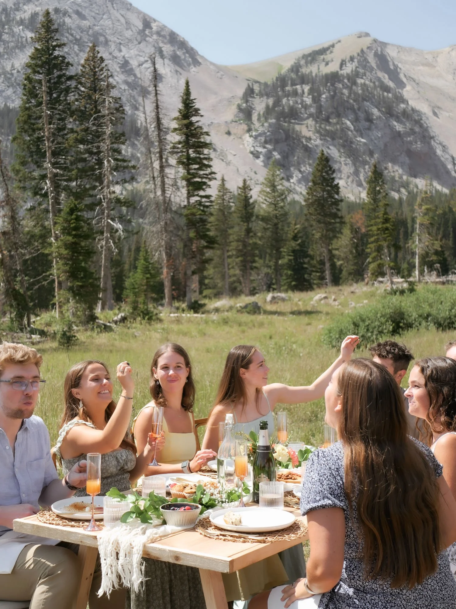 Group of friends having outdoor meal in a forested mountain meadow on a sunny day.