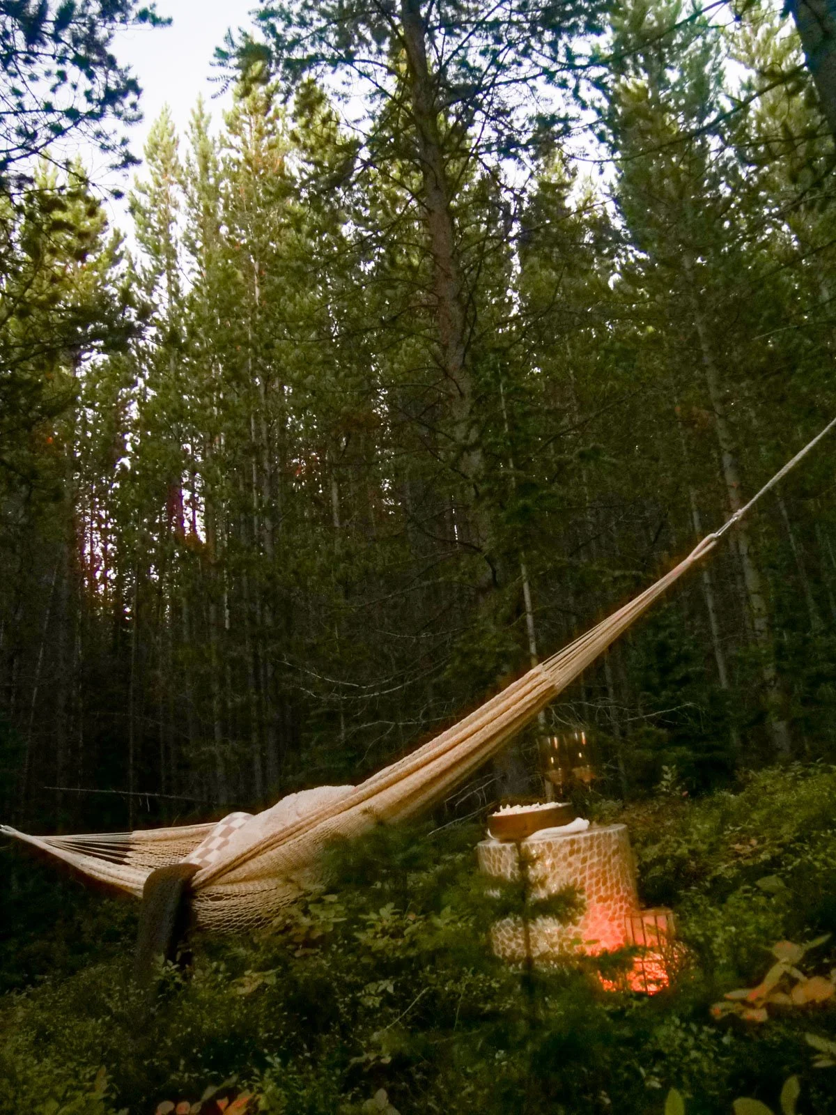 A hammock tied between trees in a forest with a stone table and a lit fire underneath.