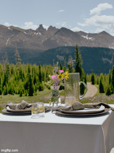 Outdoor dining table set with plates, silverware, glasses, a vase of flowers, and a pitcher, with a mountain and forest background.