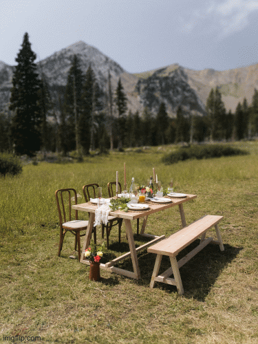 Outdoor picnic table set in a grassy field with mountains in the background, decorated for a meal.