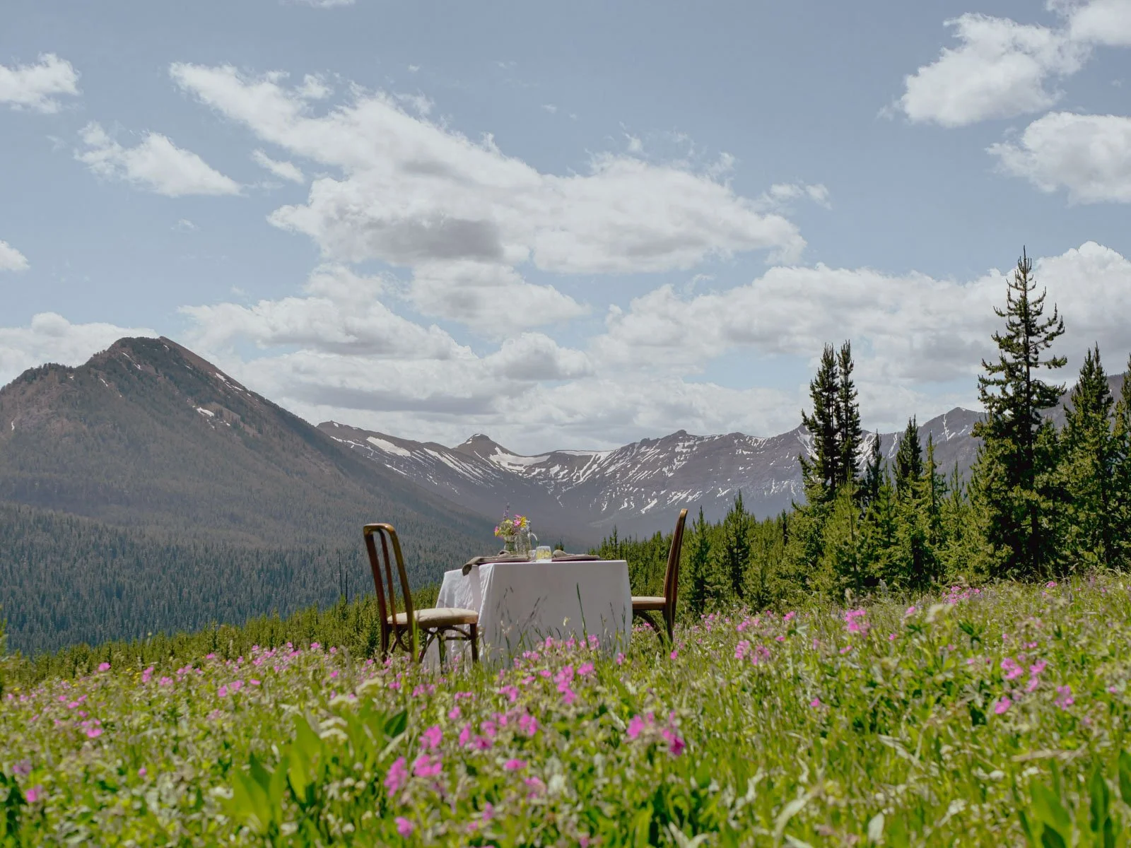 Alpine Meadow Elopement