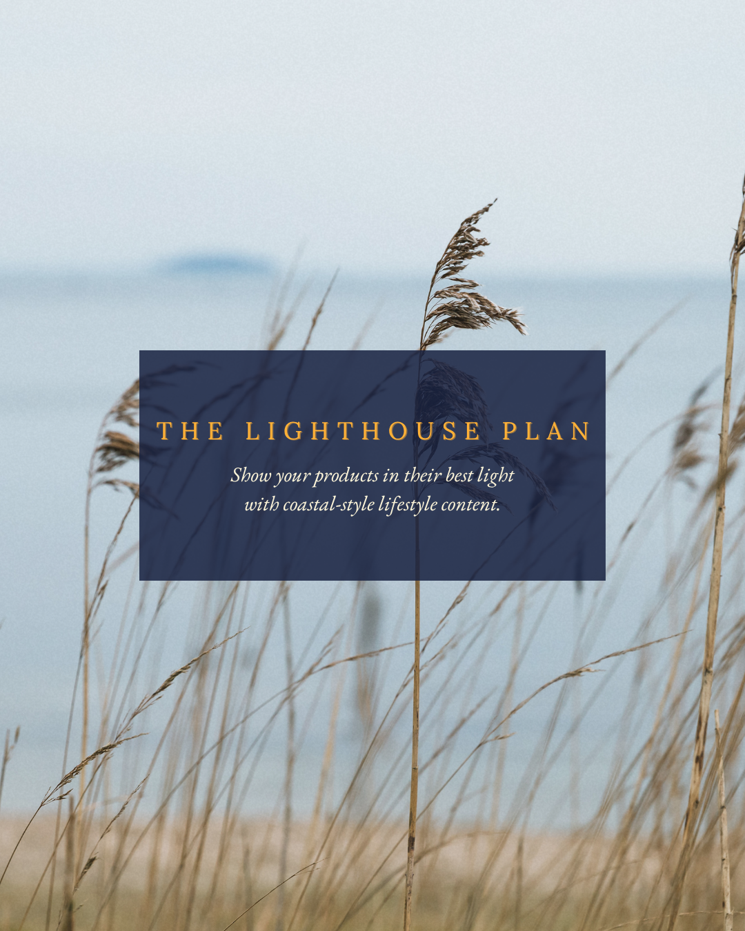 The Lighthouse Plan