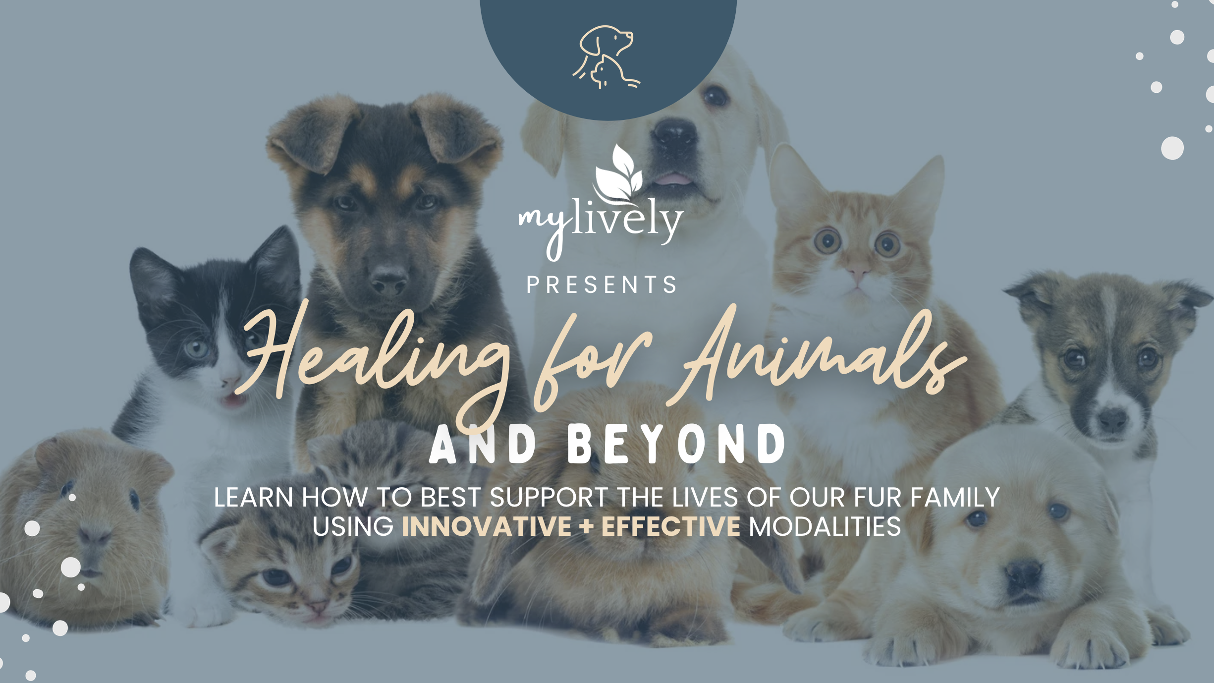 Pet Health Webinar