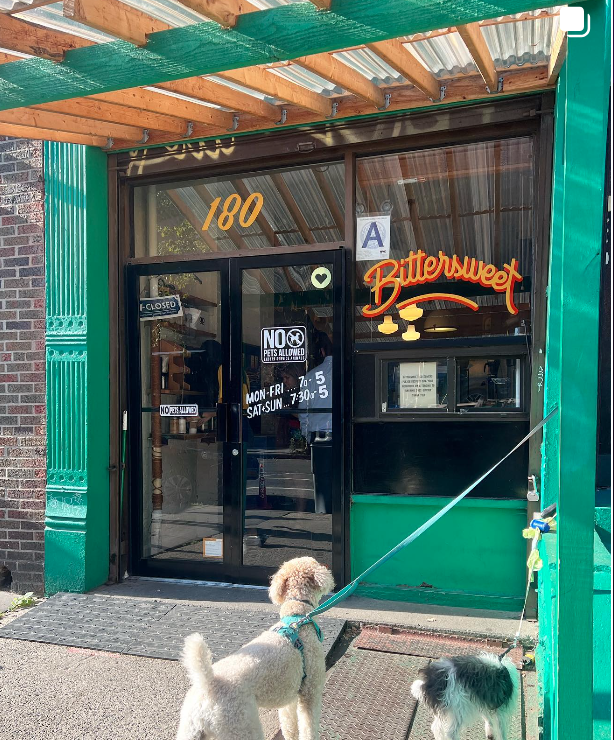 Dog outside of store