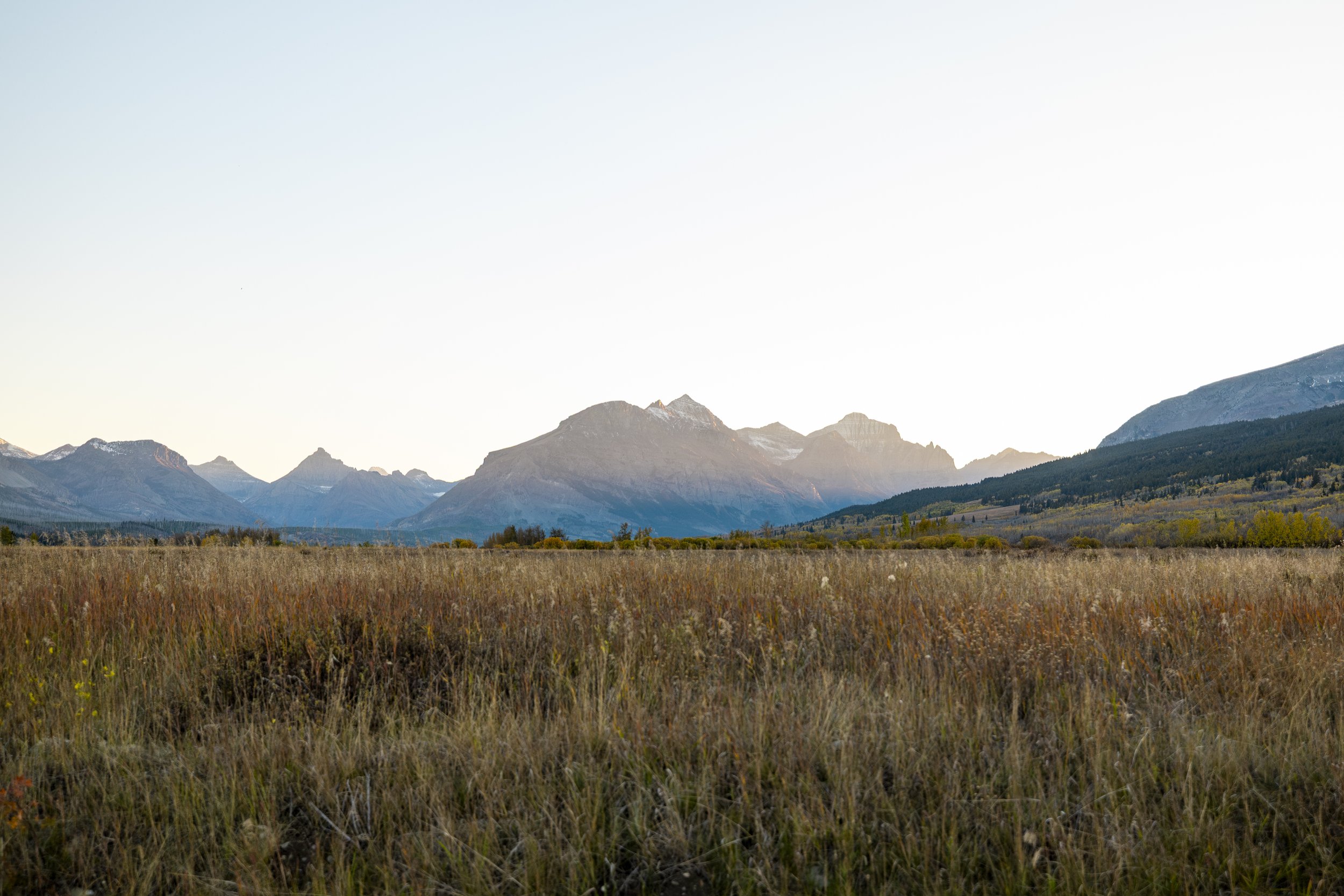 Scenic view of mountains in the distance with golden field in the foreground and clear sky overhead.