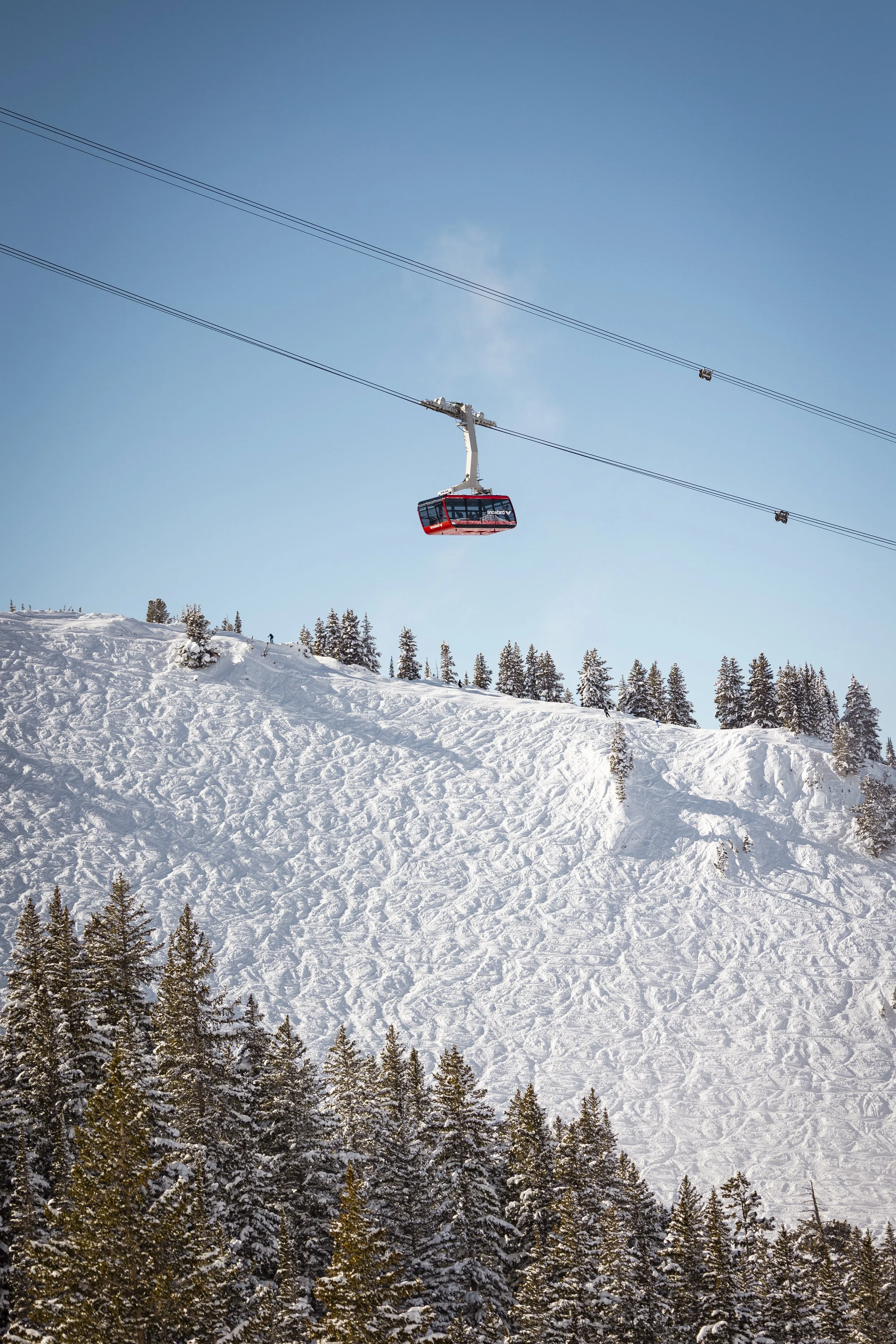 A ski lift with a red gondola traveling over a snow-covered mountain with pine trees, under a clear blue sky.
