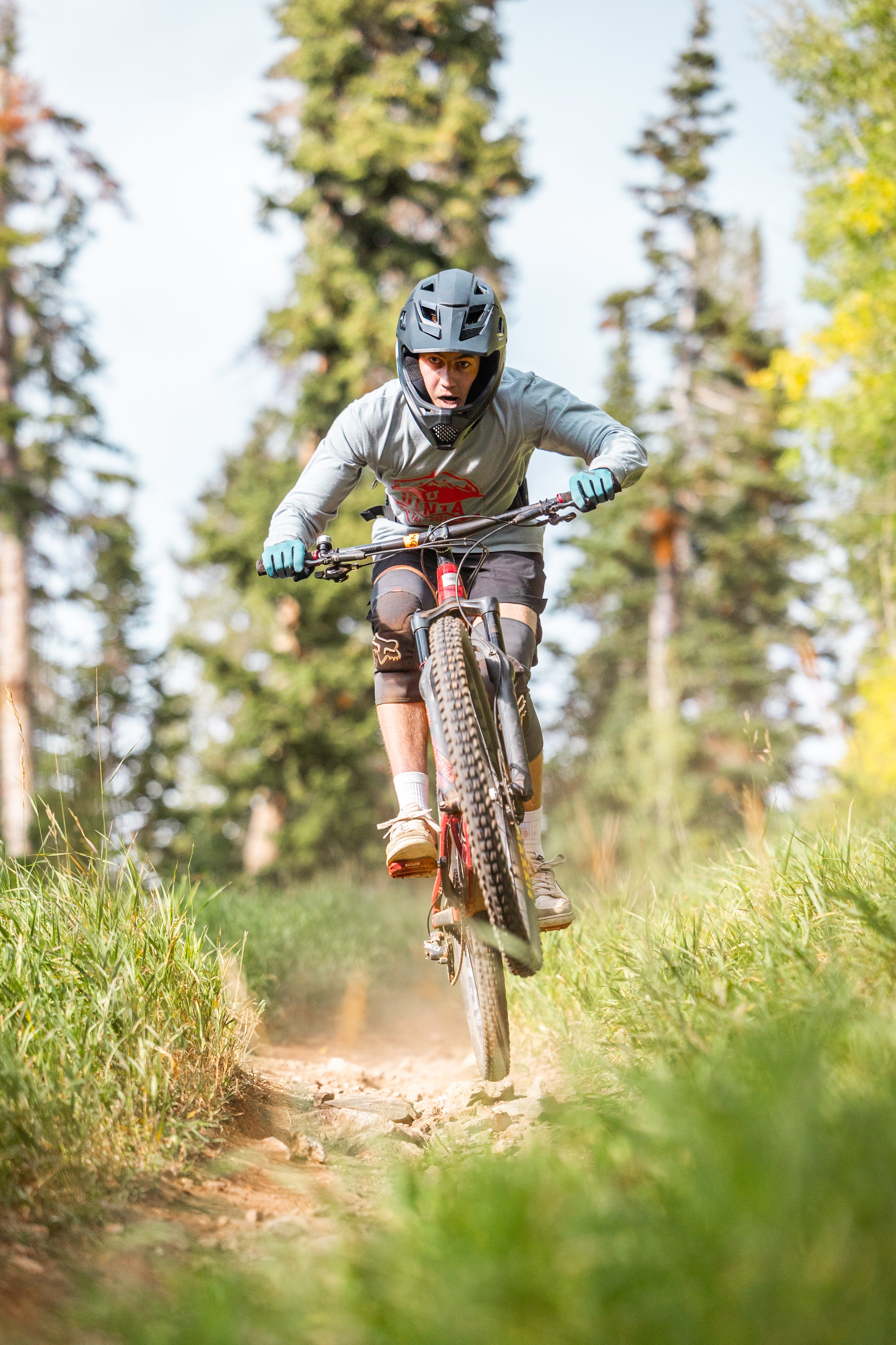 A person mountain biking on a forest trail, wearing a helmet and gloves, surrounded by tall trees and green grass.