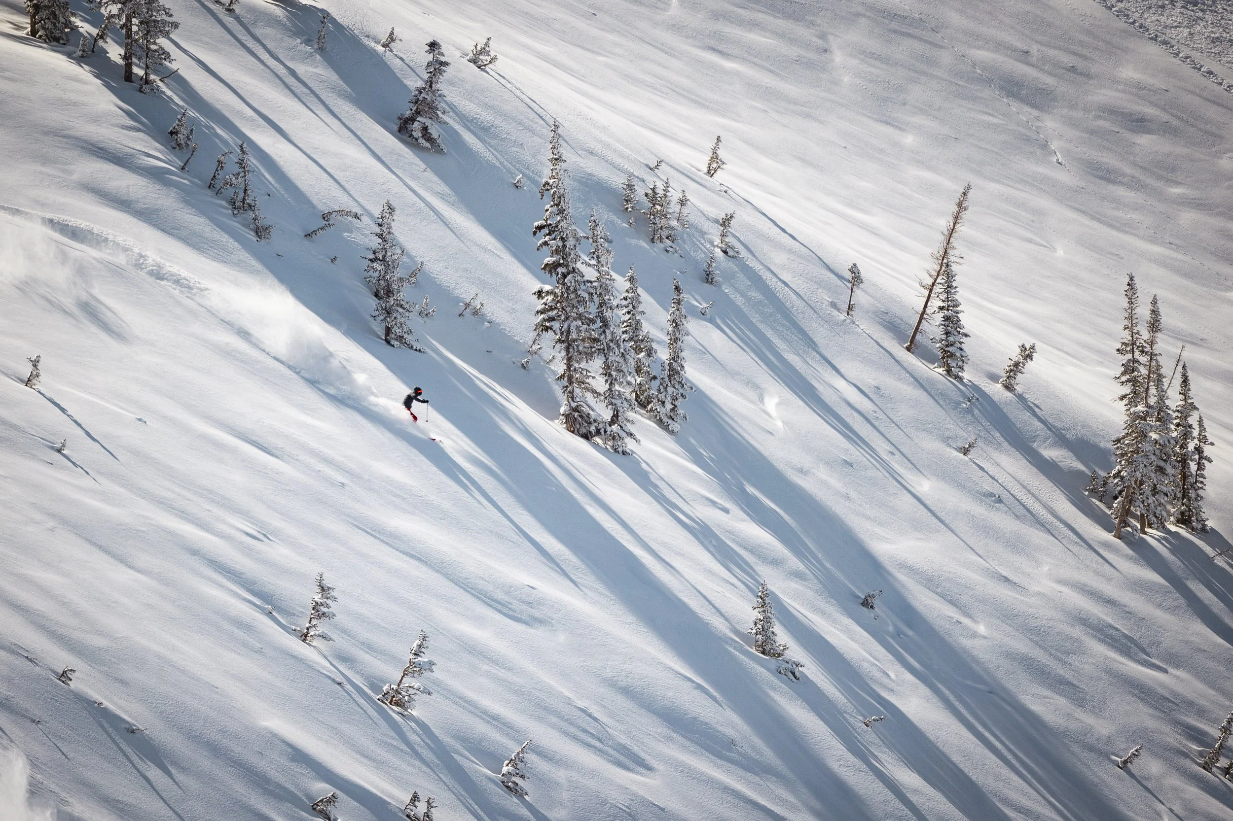 A person skiing down a snowy mountain slope surrounded by snow-covered trees, with long shadows cast by the trees and skier.