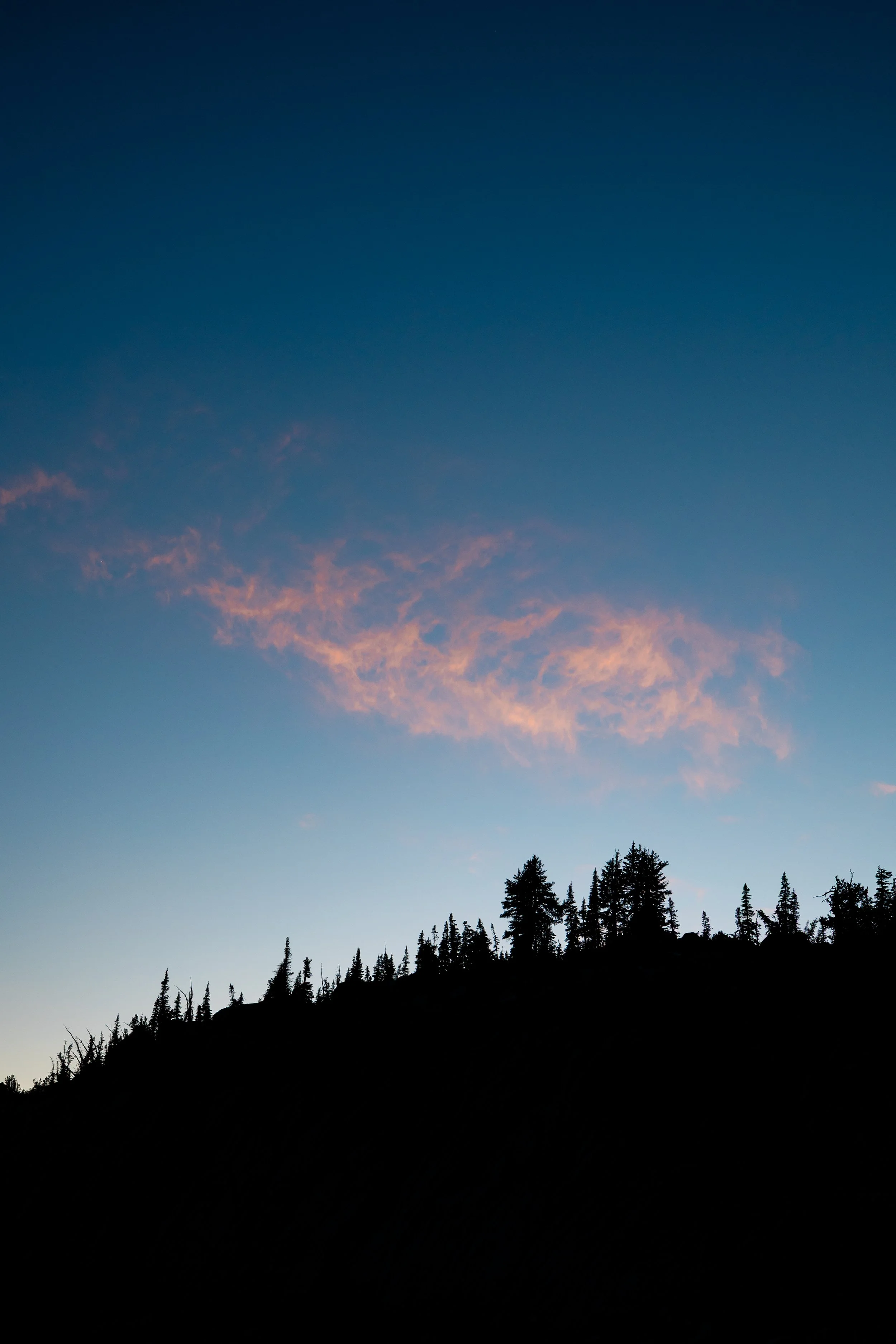DWK_8739.jpg