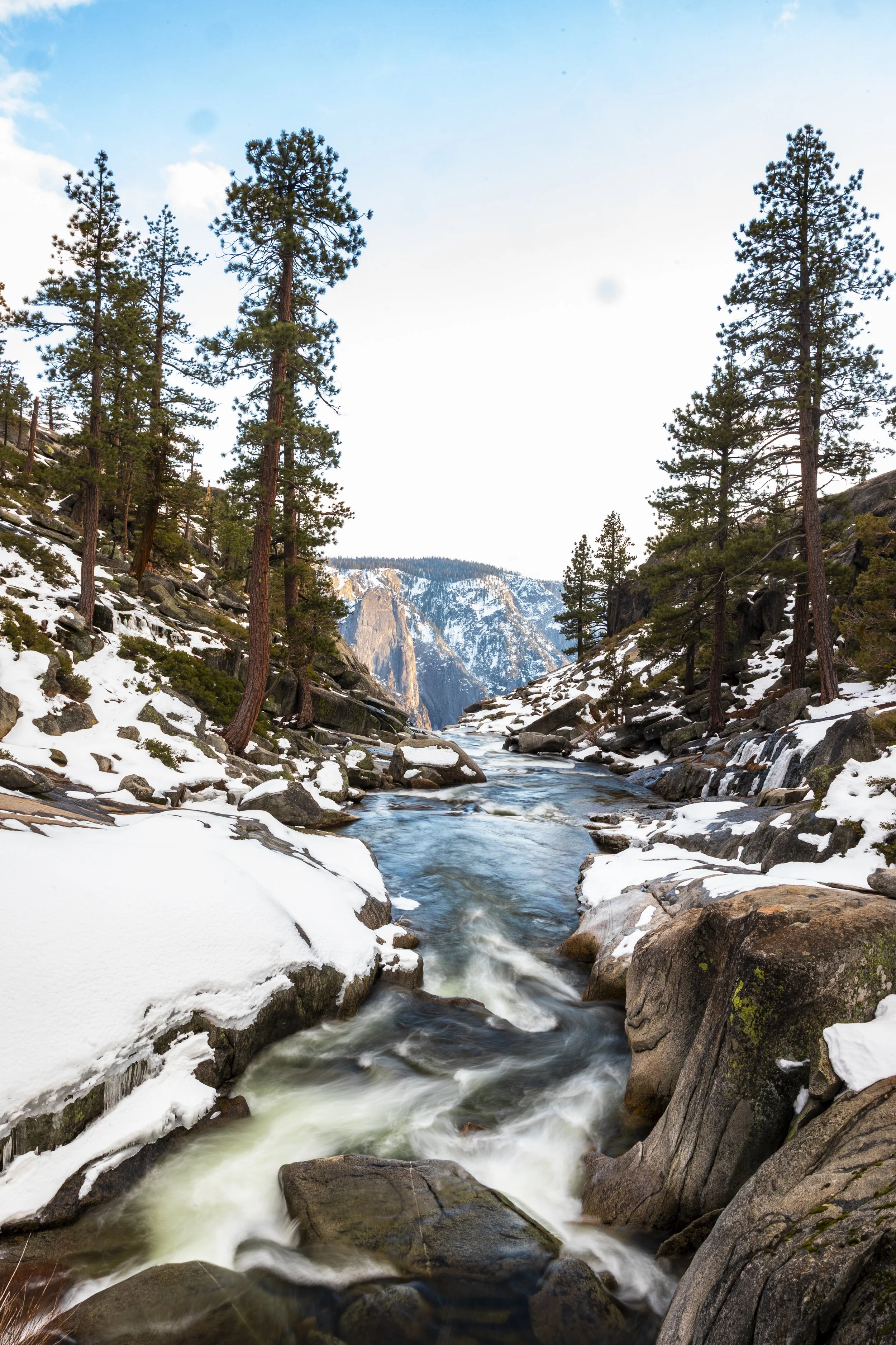 A flowing river through snow-covered rocks and pine trees in a mountainous landscape.