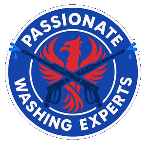 Passionate Washing Experts