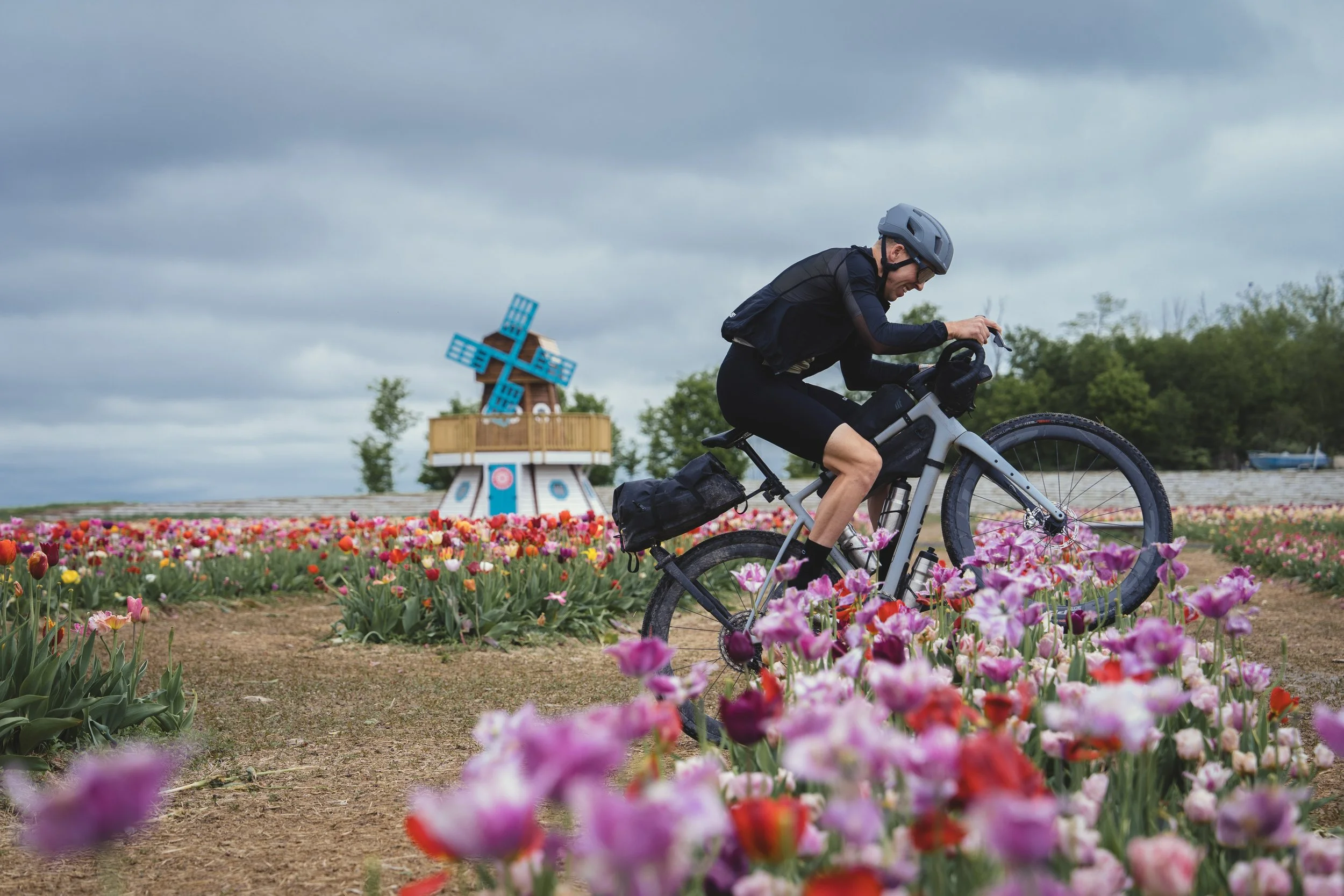 A person wearing a helmet riding a bicycle through a colorful tulip field with a windmill in the background under a cloudy sky.