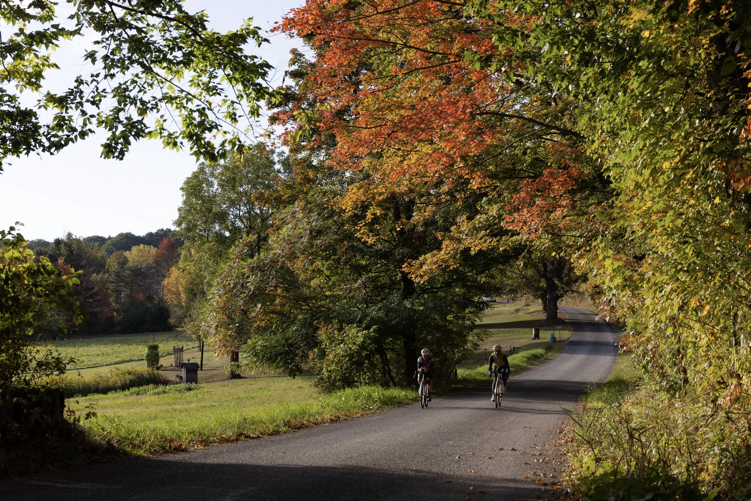 A rural park scene with a paved pathway, green and fall-colored trees, and two cyclists riding on the path during daytime.