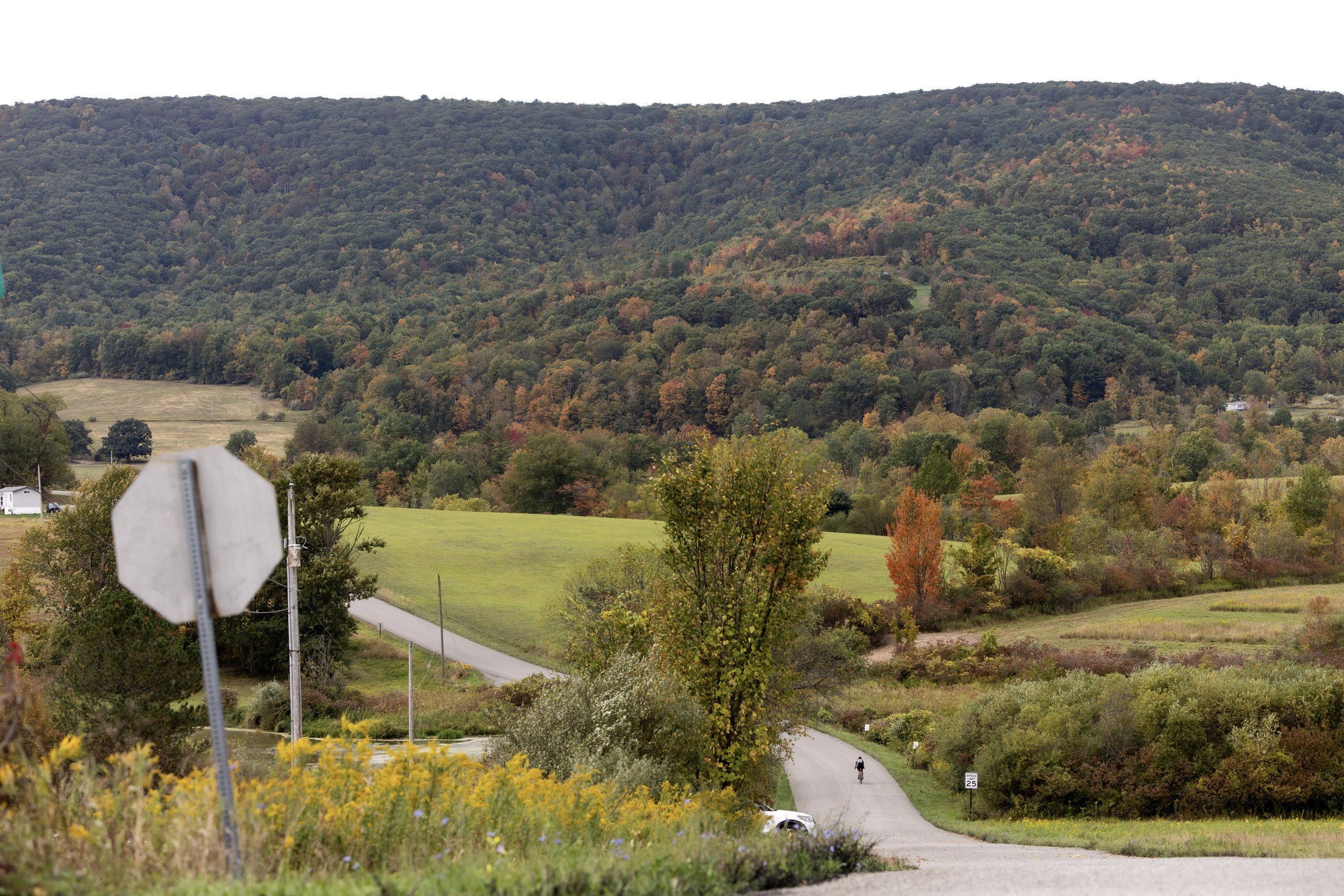 Scenic view of lush green mountains with autumn foliage, a winding road, and a cyclist in the distance.