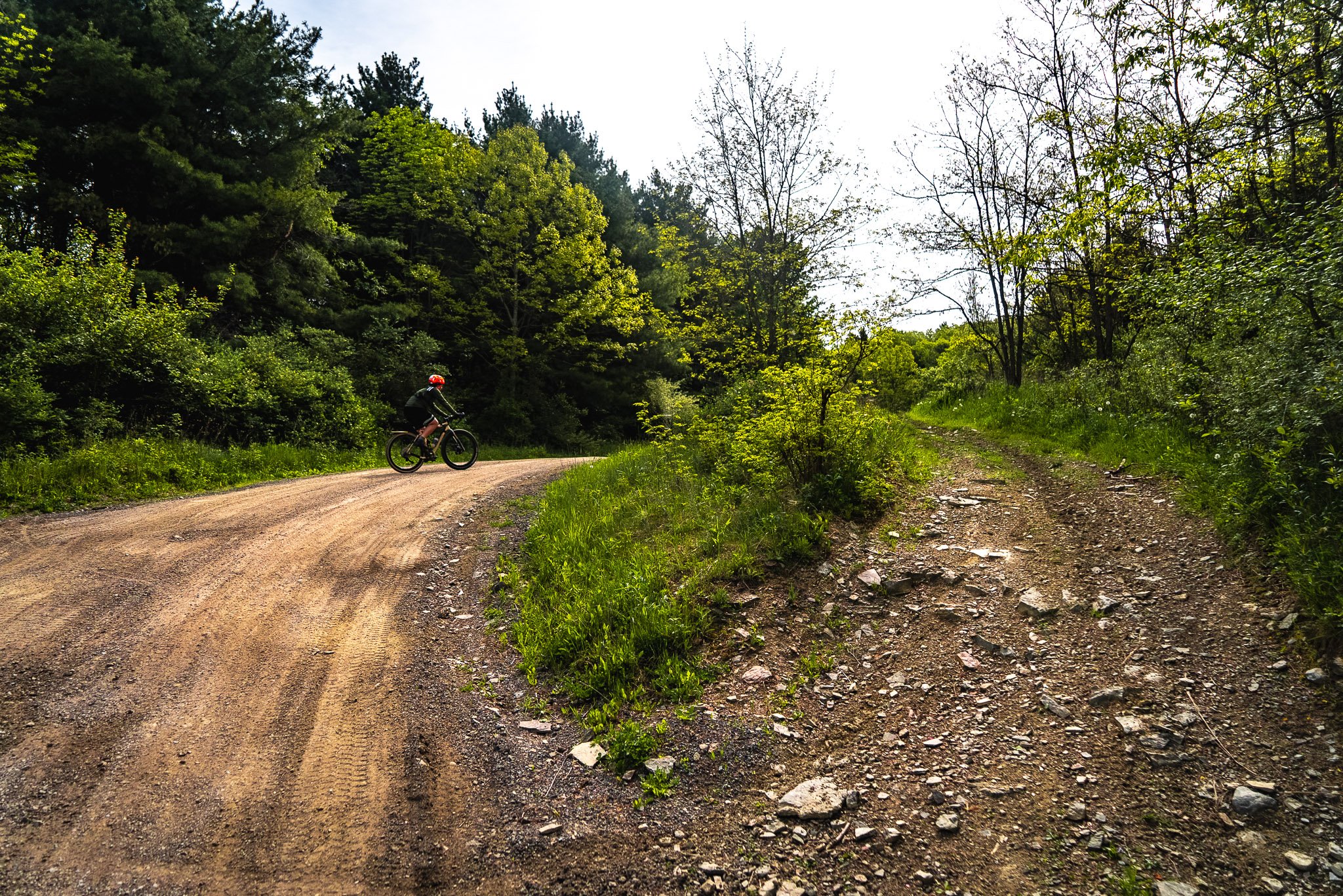 2.1 Sayre_ Round Top Round Up-17.jpg