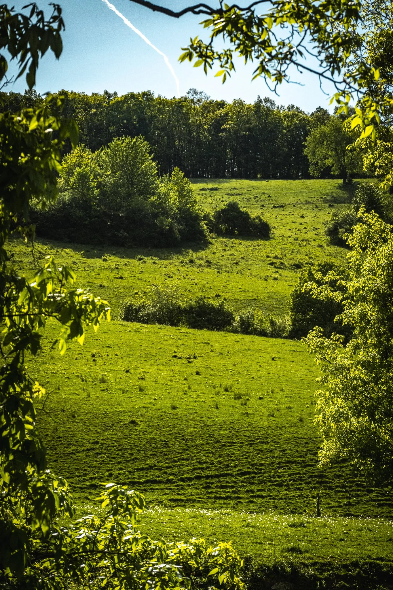 2.2 Sayre_ High and Low on the Chemung-02.jpg