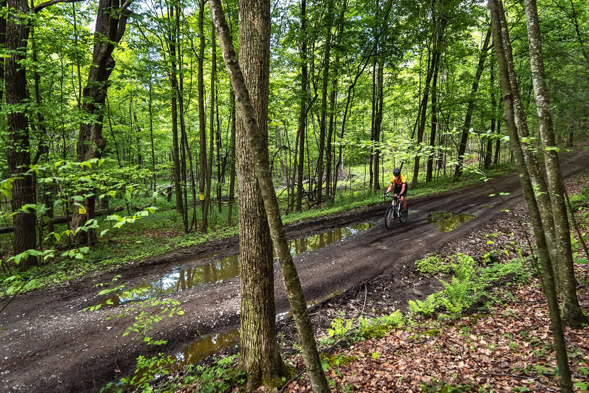 2.2 Sayre_ High and Low on the Chemung-04.jpg