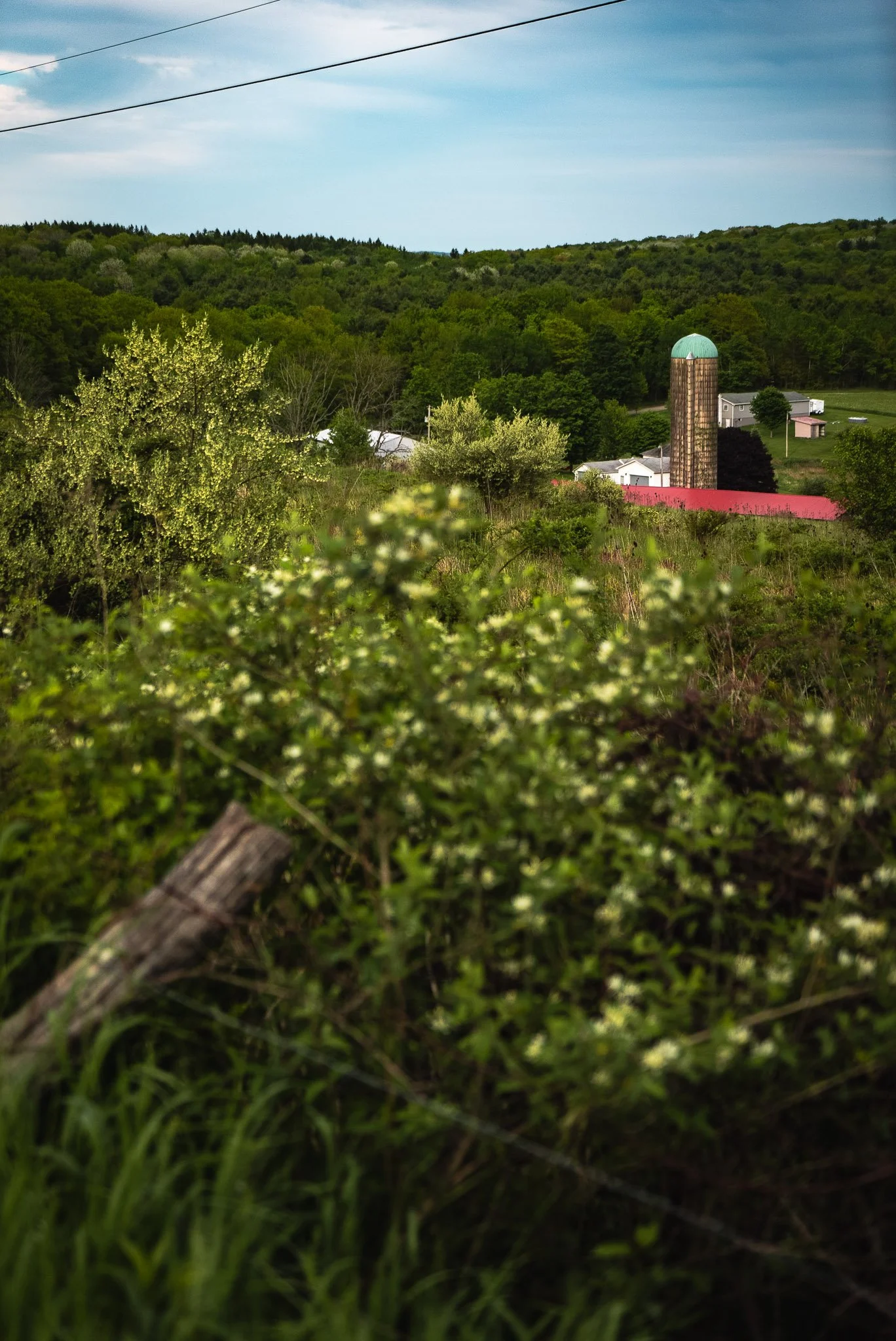 2.2 Sayre_ High and Low on the Chemung-09.jpg