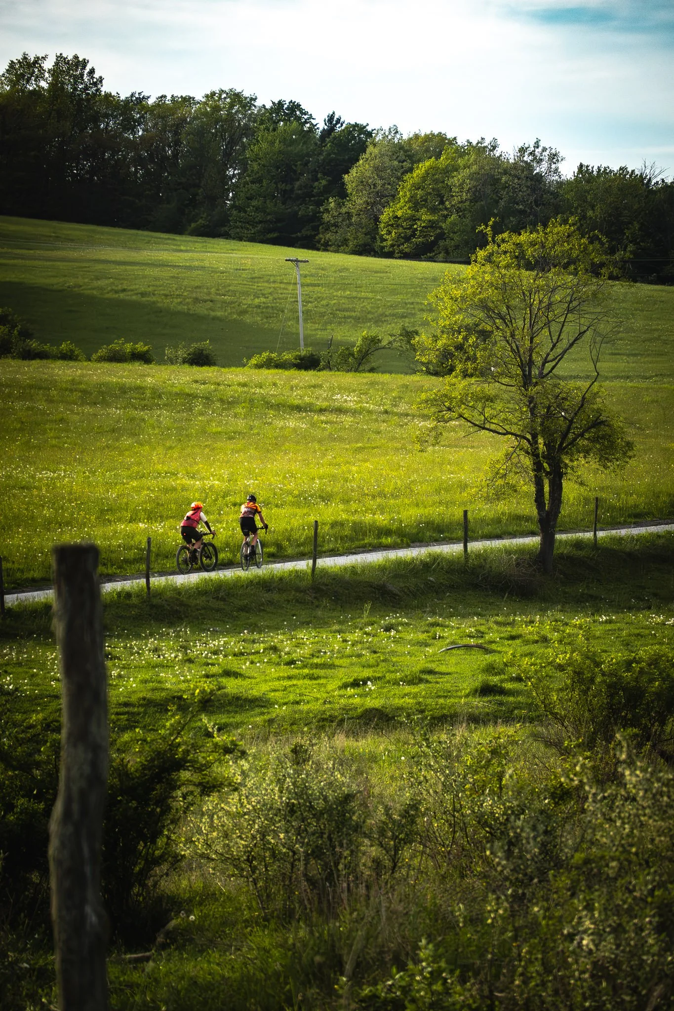 2.2 Sayre_ High and Low on the Chemung-12.jpg