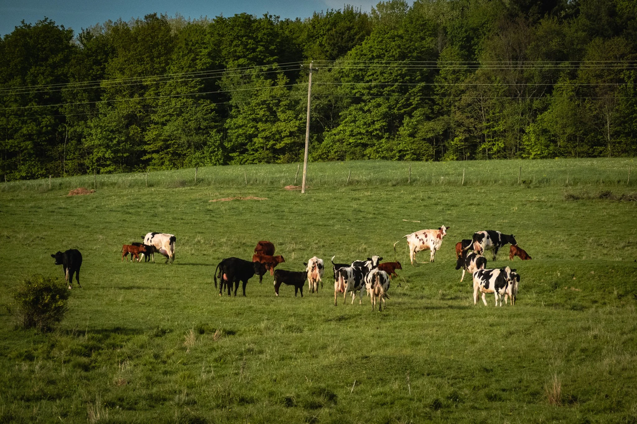 2.2 Sayre_ High and Low on the Chemung-13.jpg
