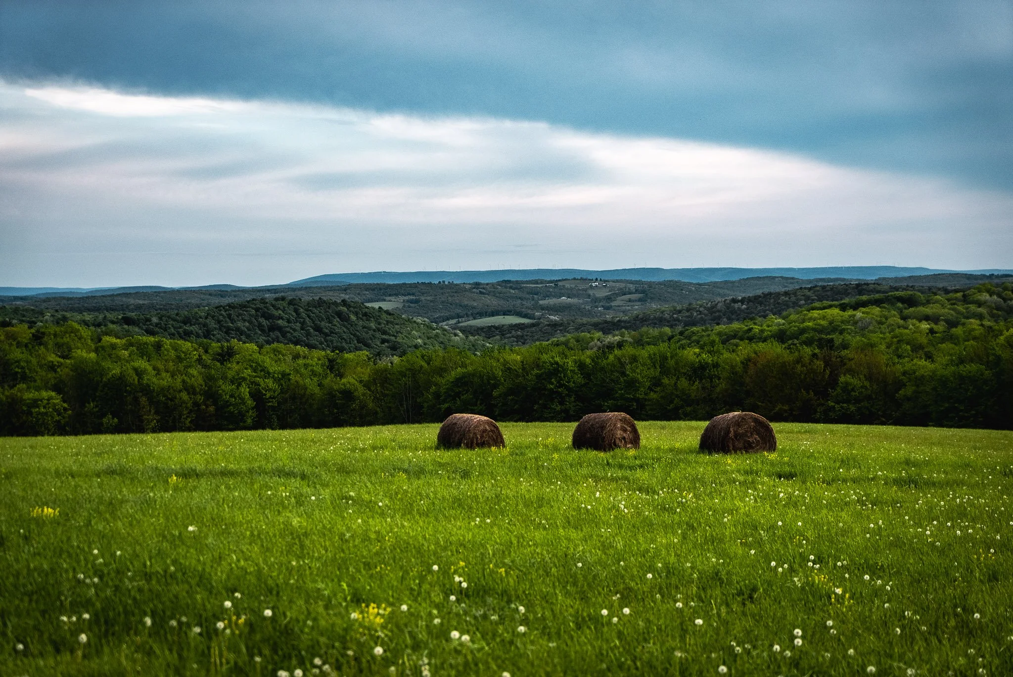 2.2 Sayre_ High and Low on the Chemung-14.jpg